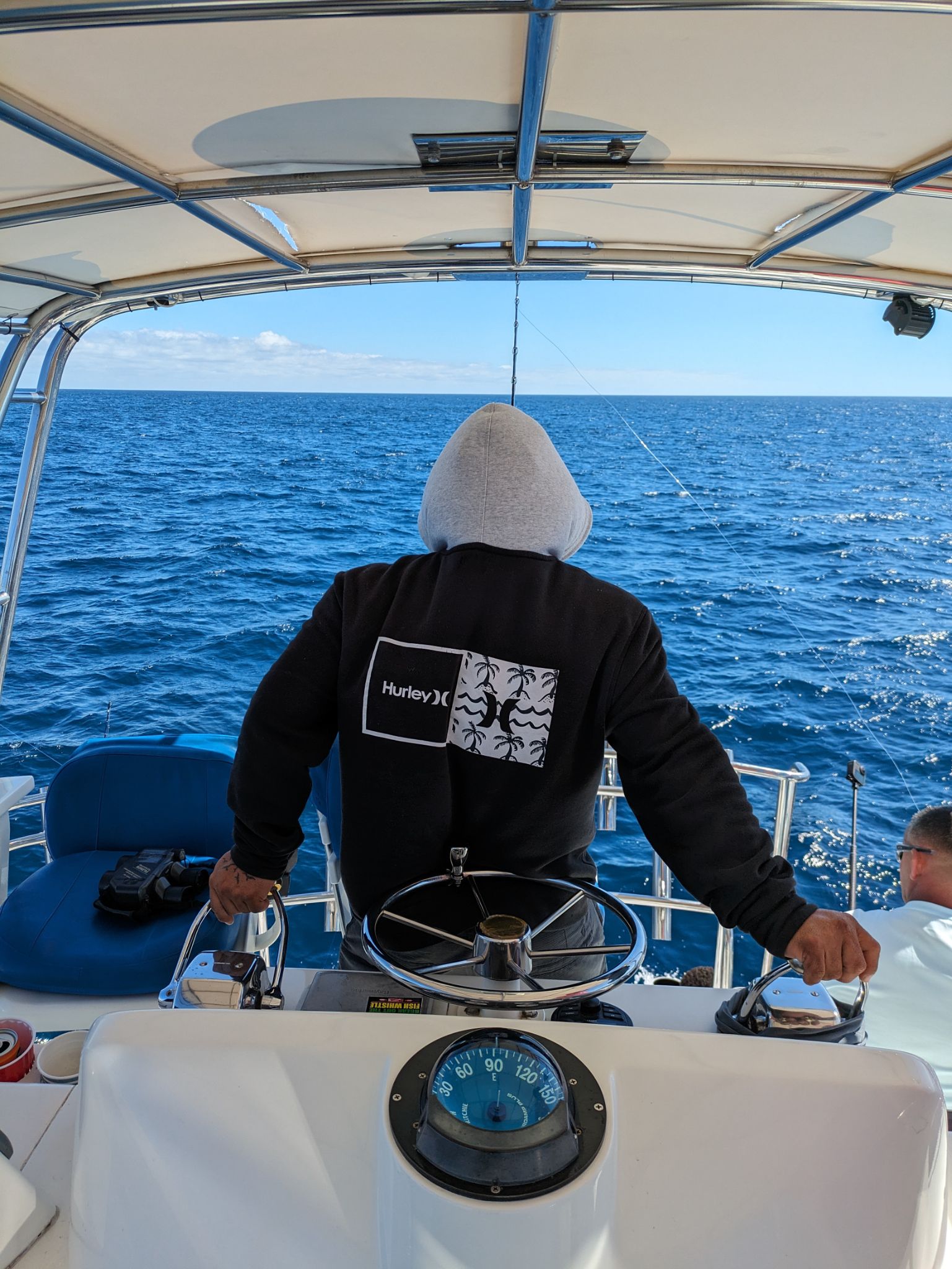 PXL 20240202 190506697