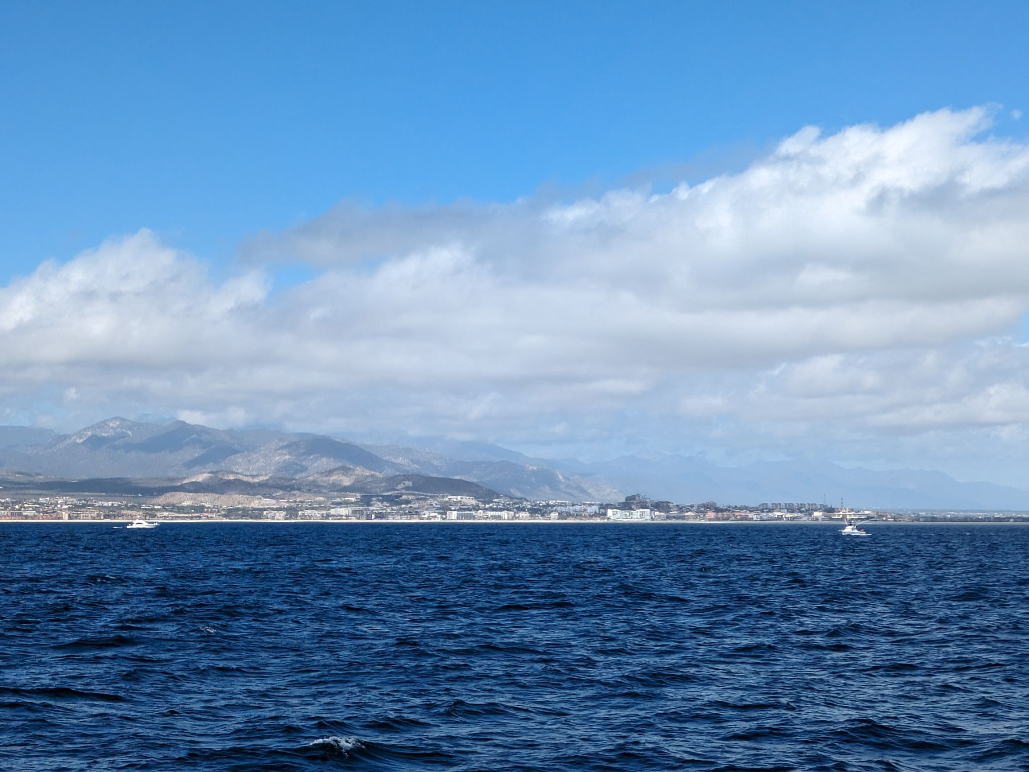 PXL 20240202 191258333