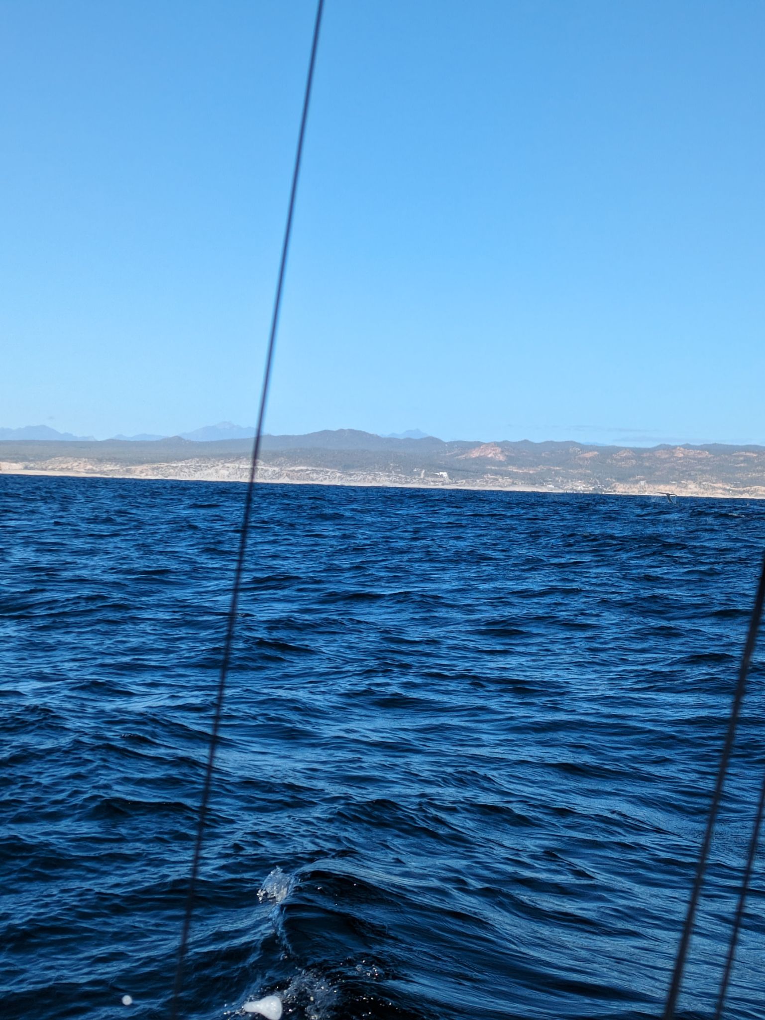 PXL 20240203 155114115