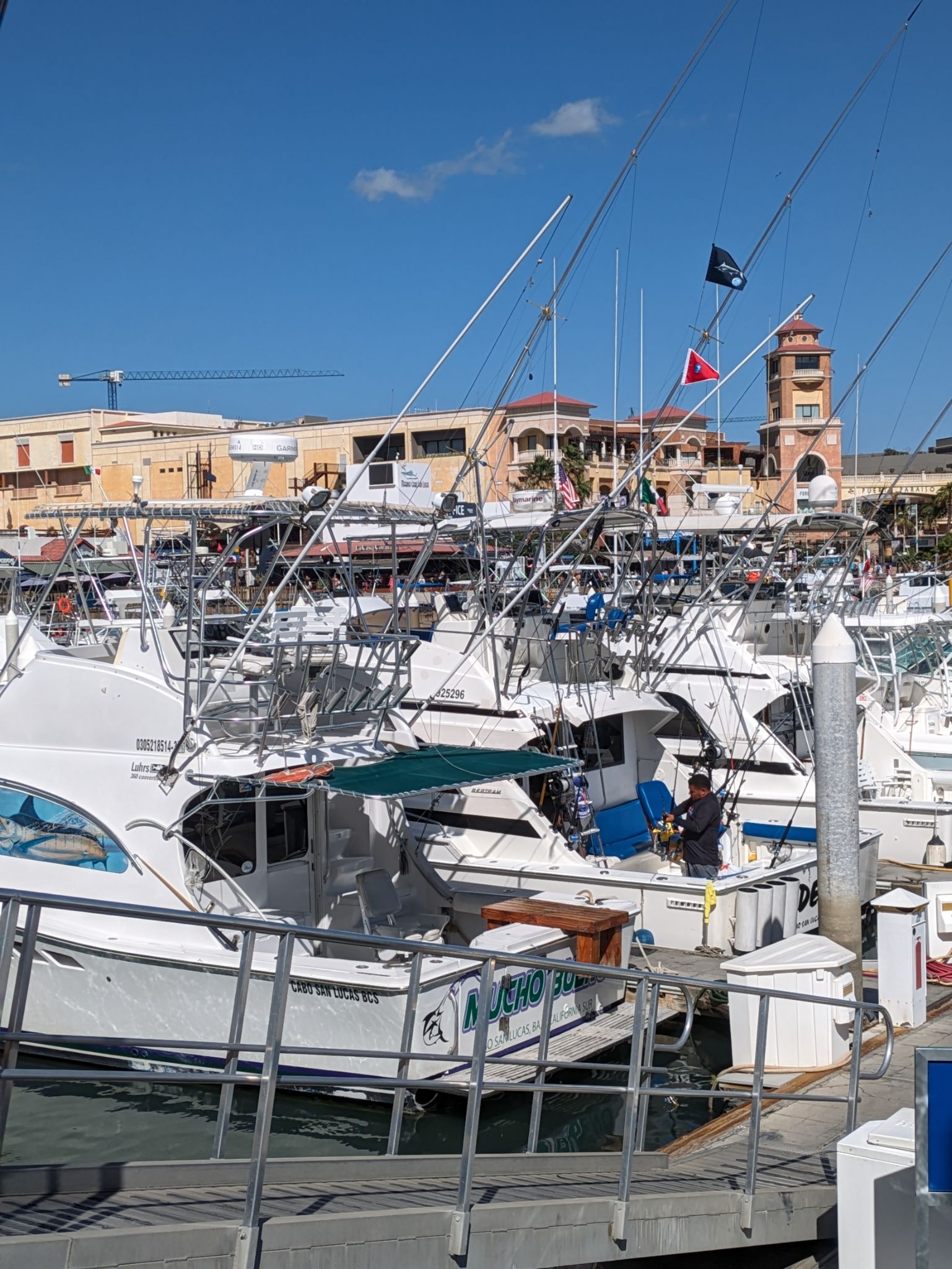 PXL 20240203 211004869