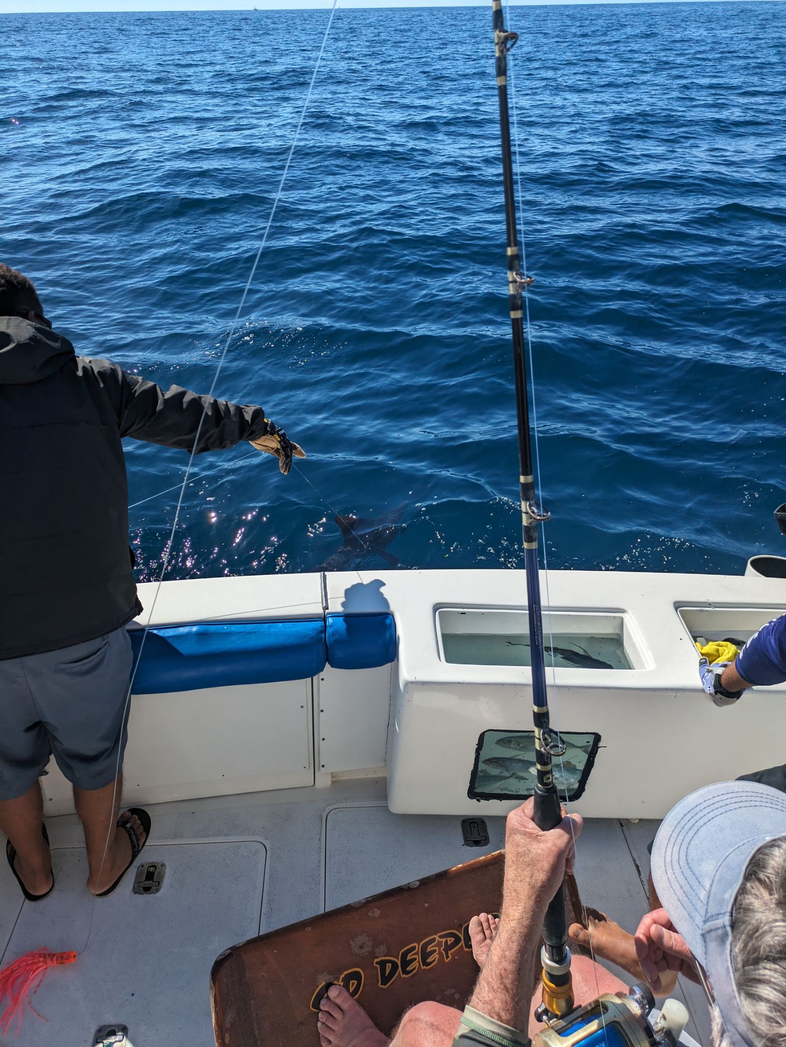 PXL 20240204 175507004