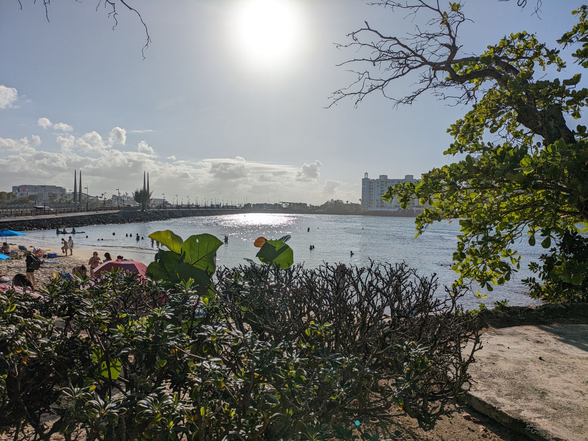 PXL 20240302 204923034