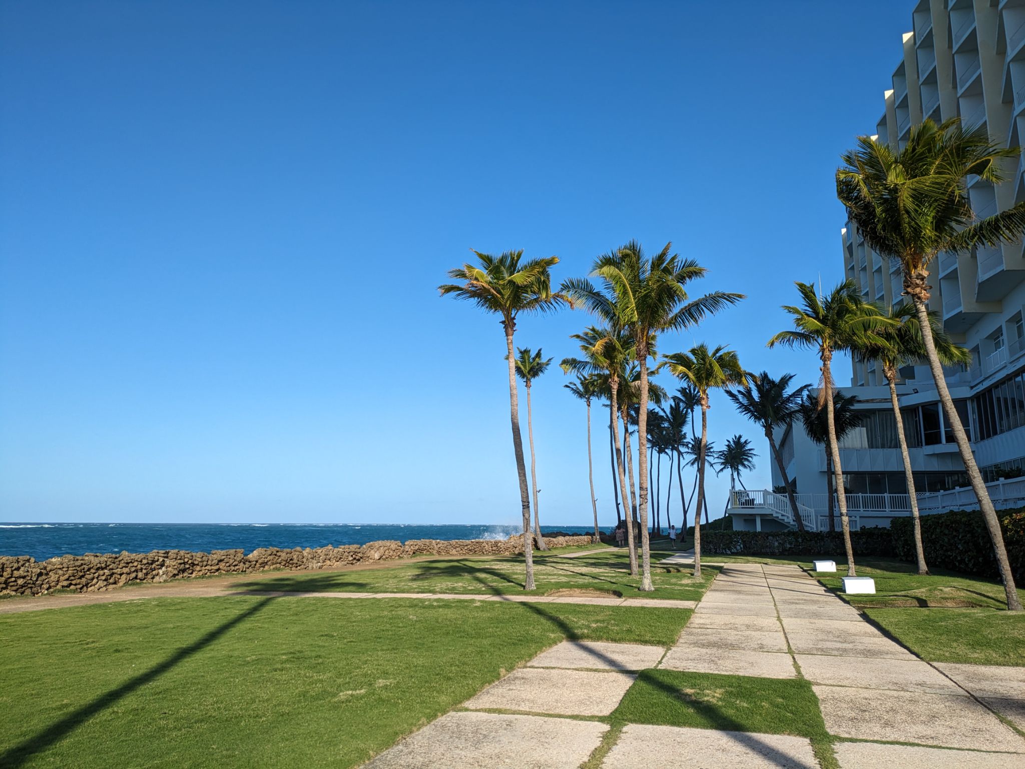 PXL 20240302 205028008