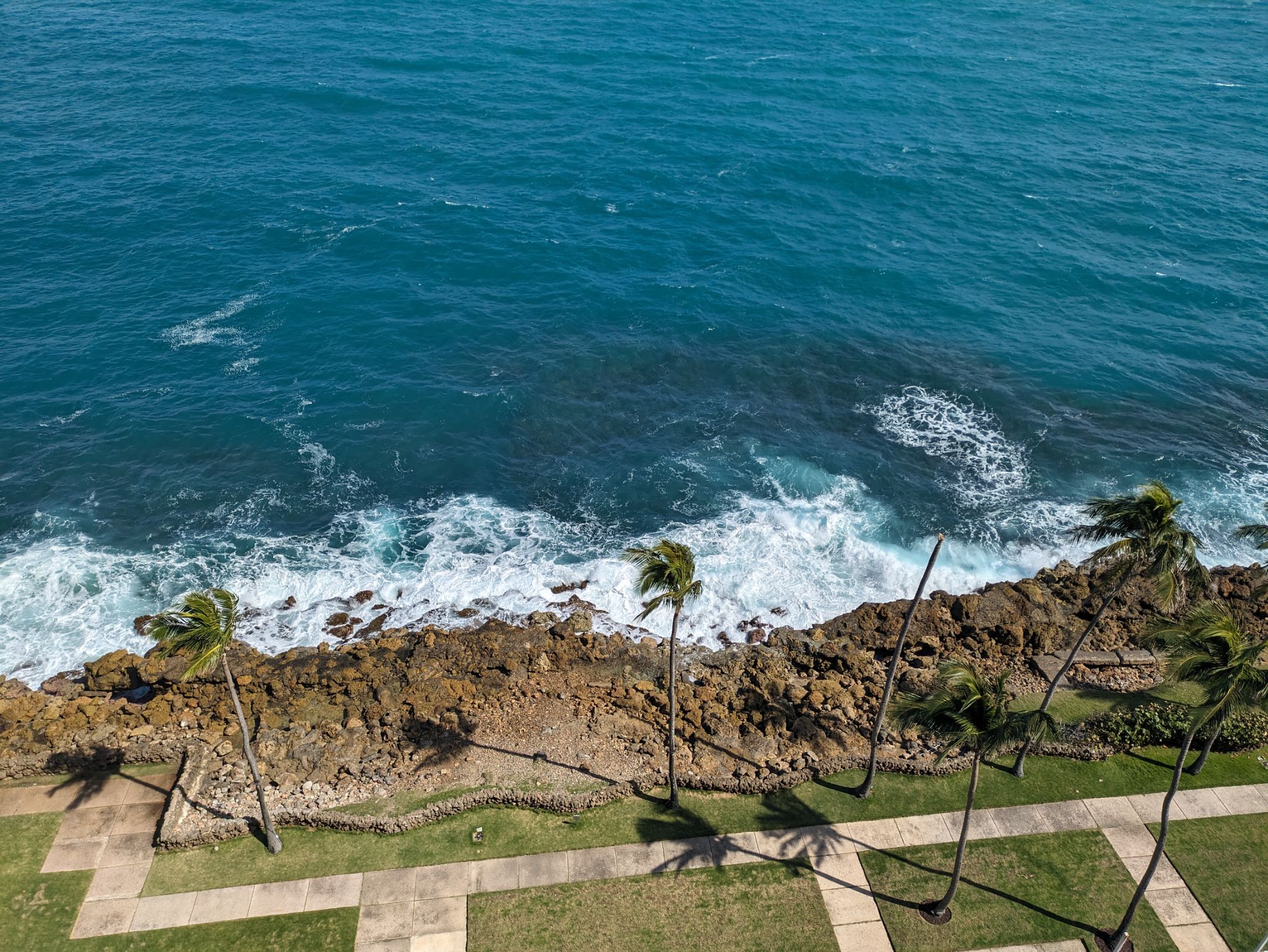 PXL 20240303 143523191