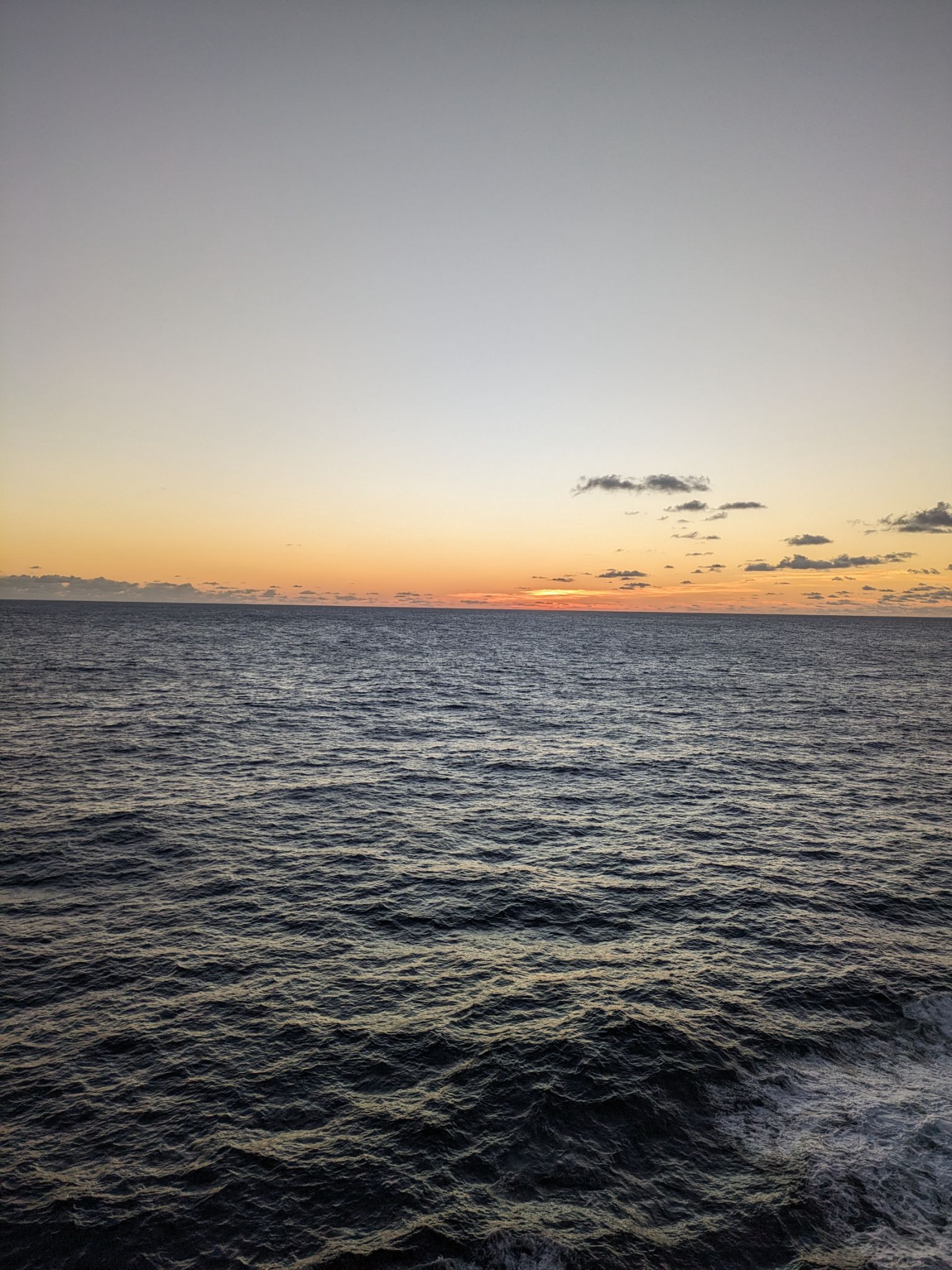 PXL 20240306 100926633