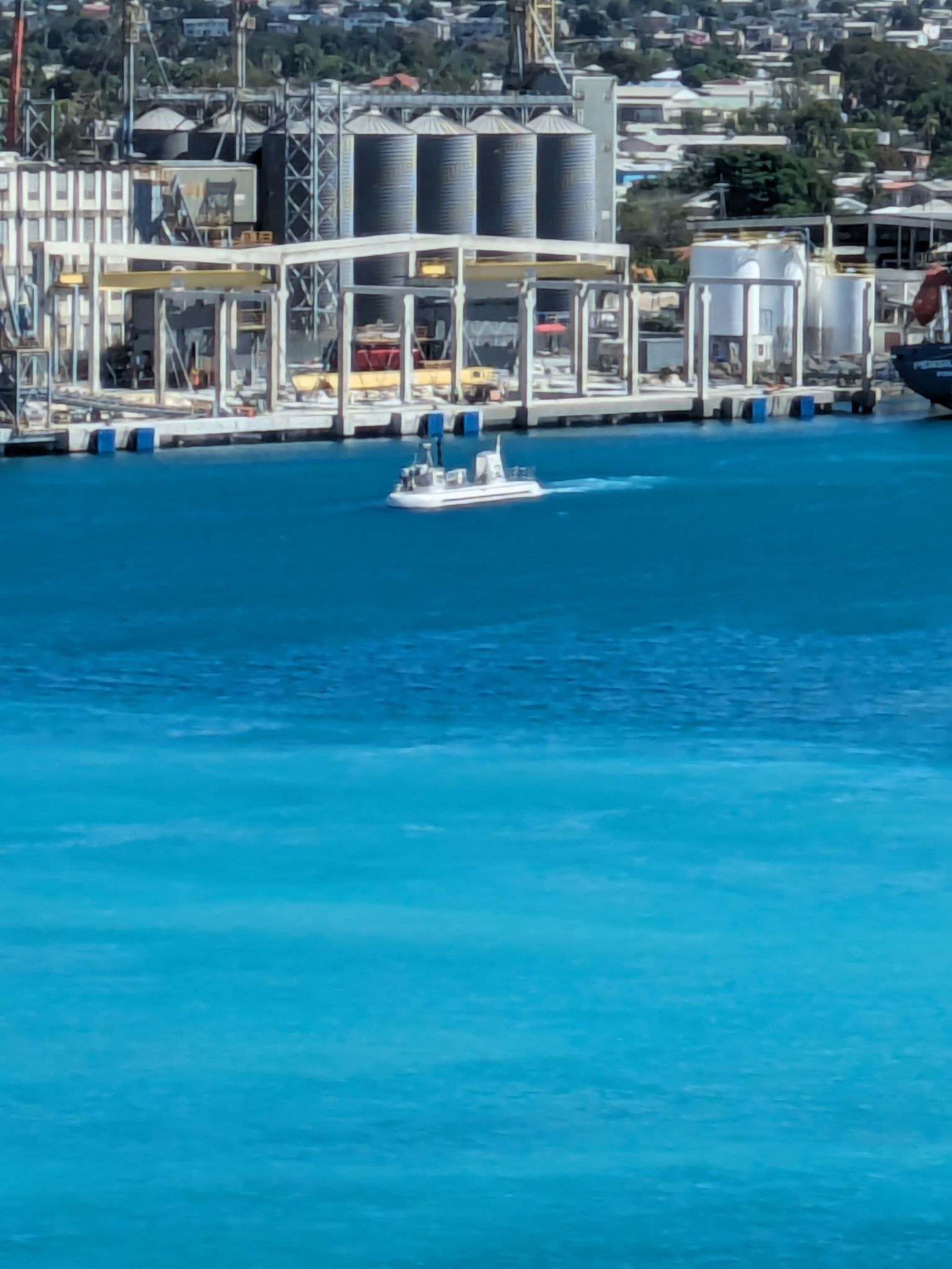 PXL 20240306 134939845