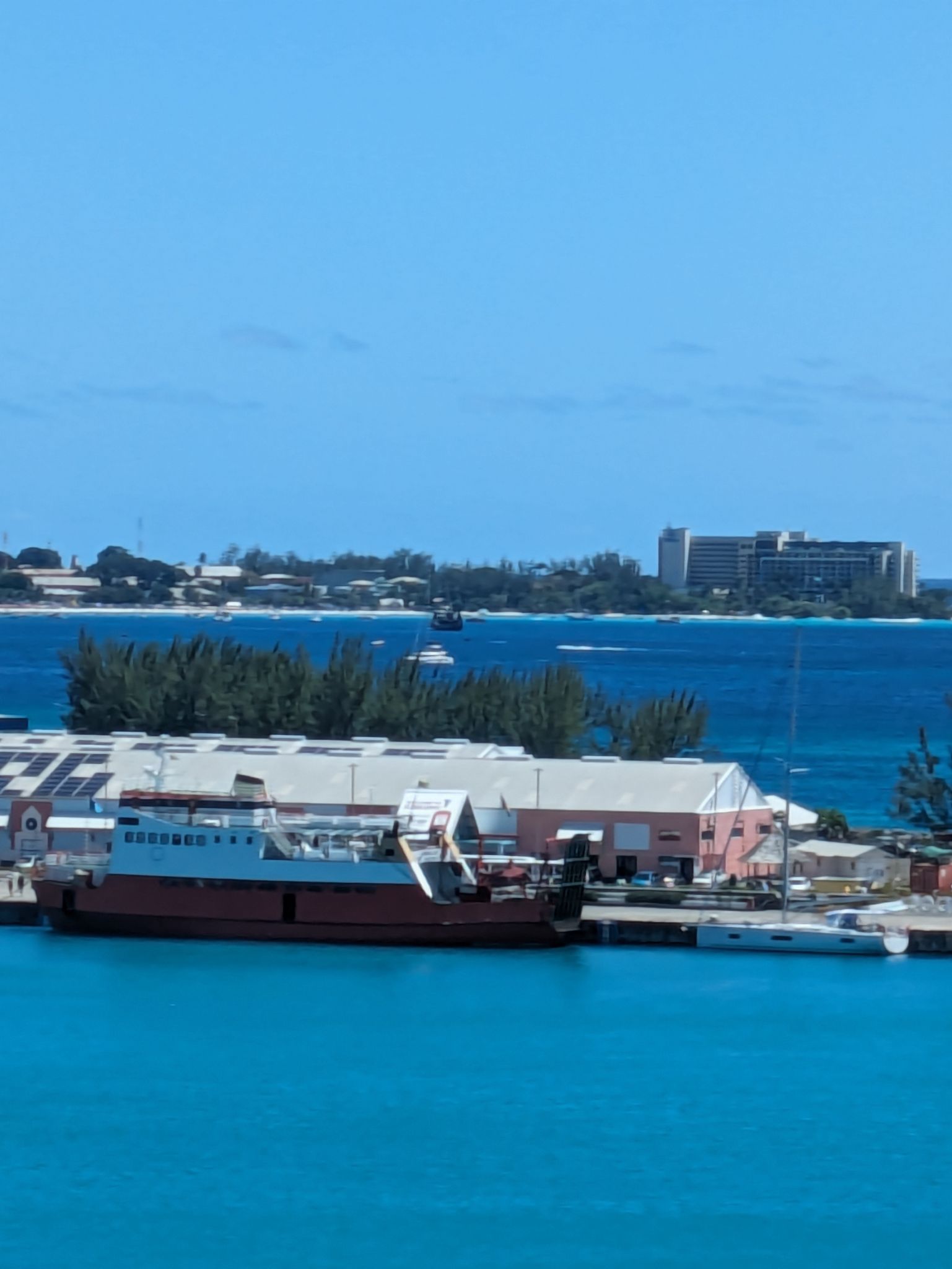 PXL 20240306 165502692