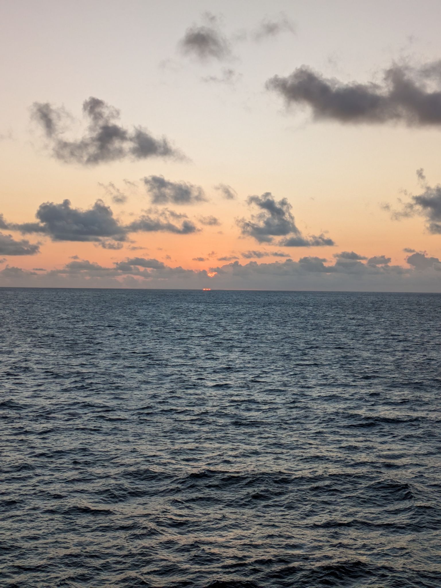 PXL 20240309 103236277