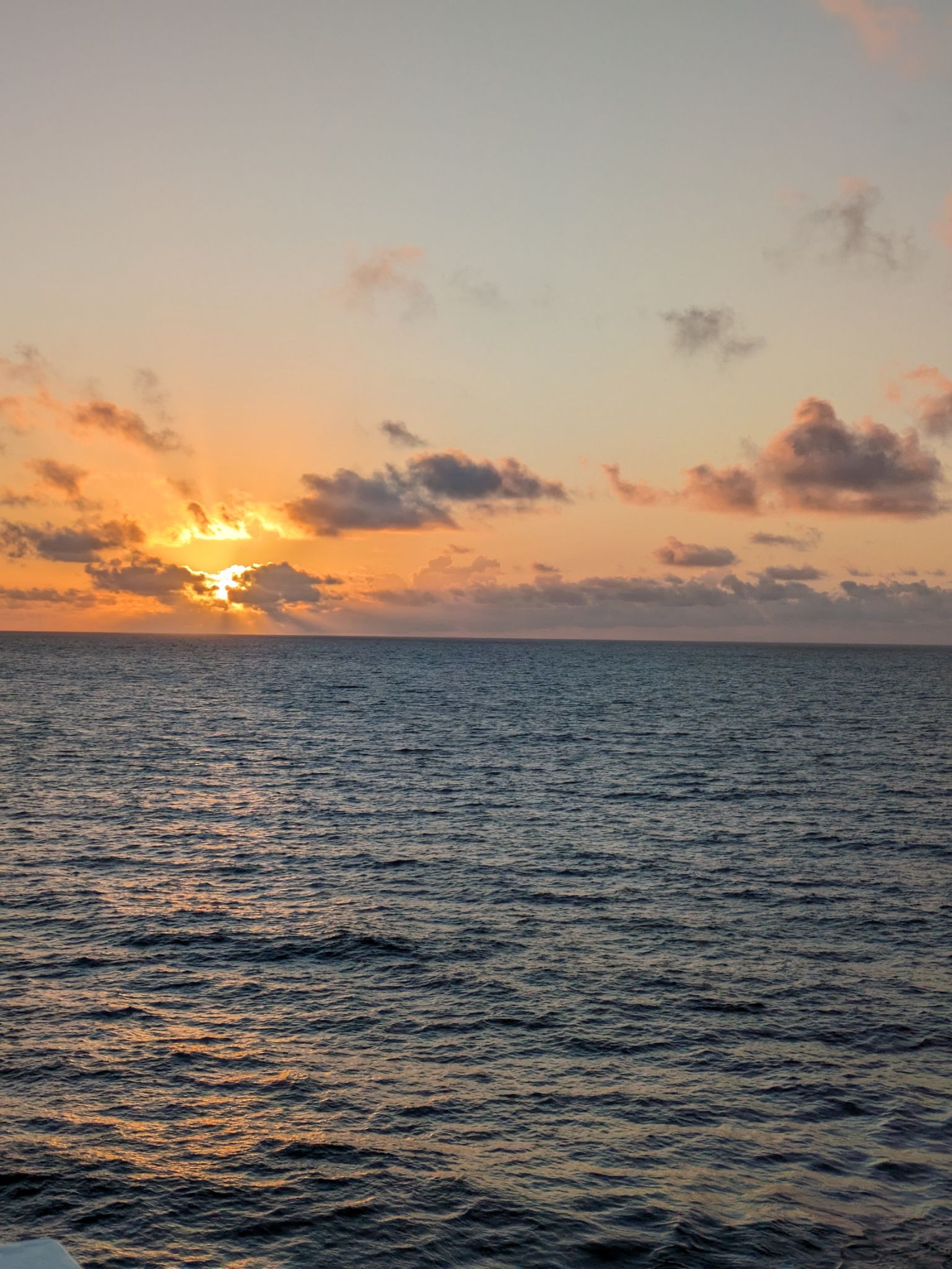 PXL 20240309 103918936.MP