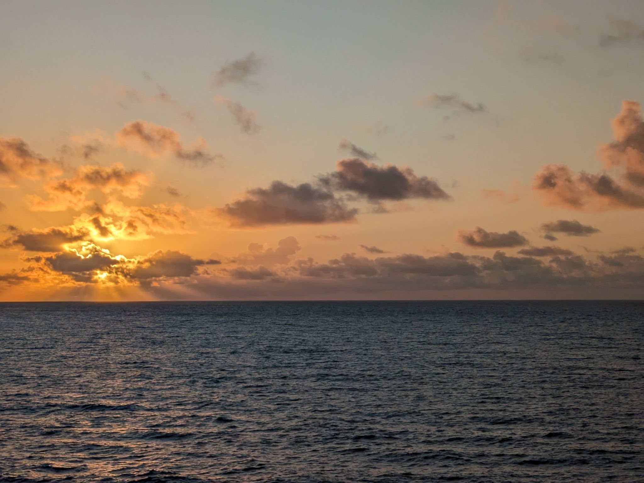 PXL 20240309 104101432