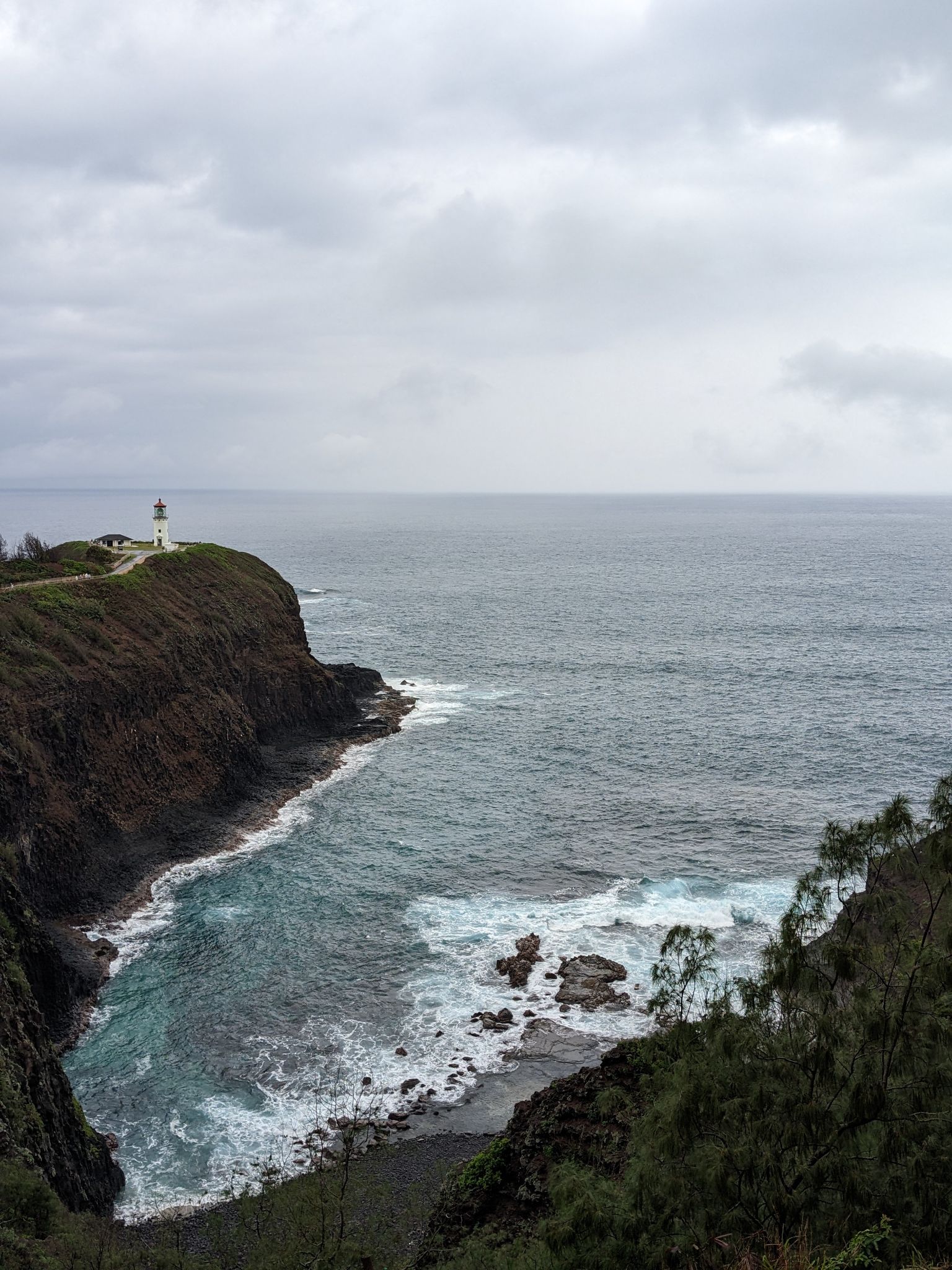 PXL 20230119 214210273