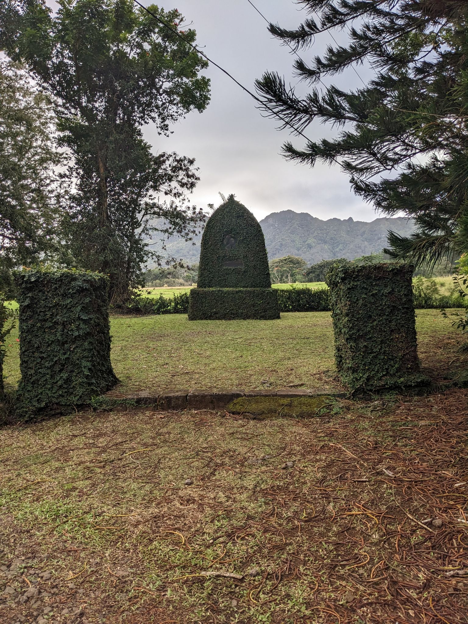 PXL 20230120 191534491