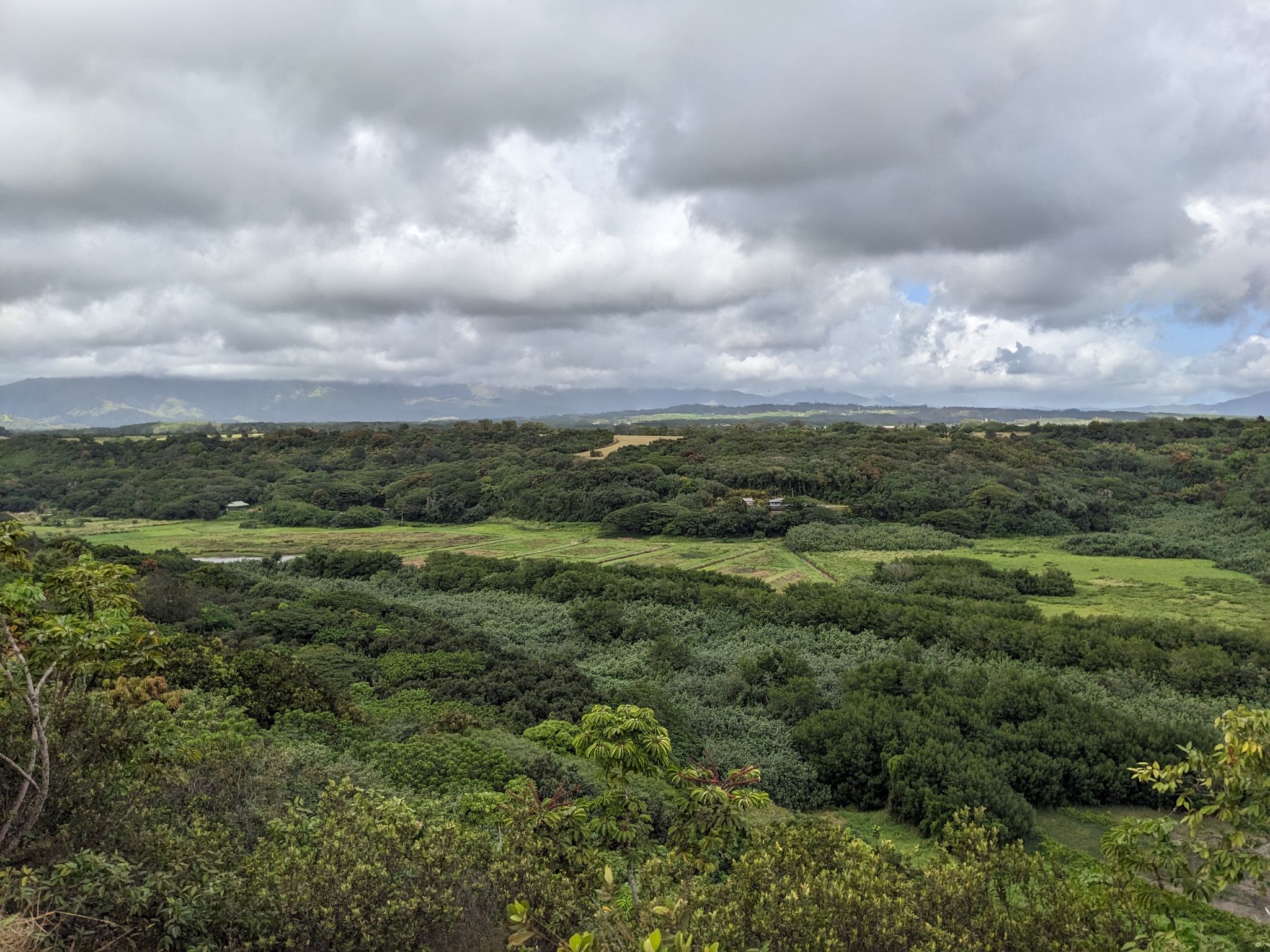 PXL 20230120 211844041