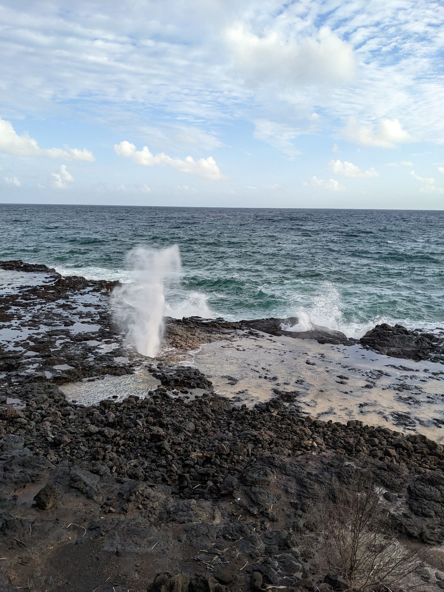 PXL 20230121 030401703