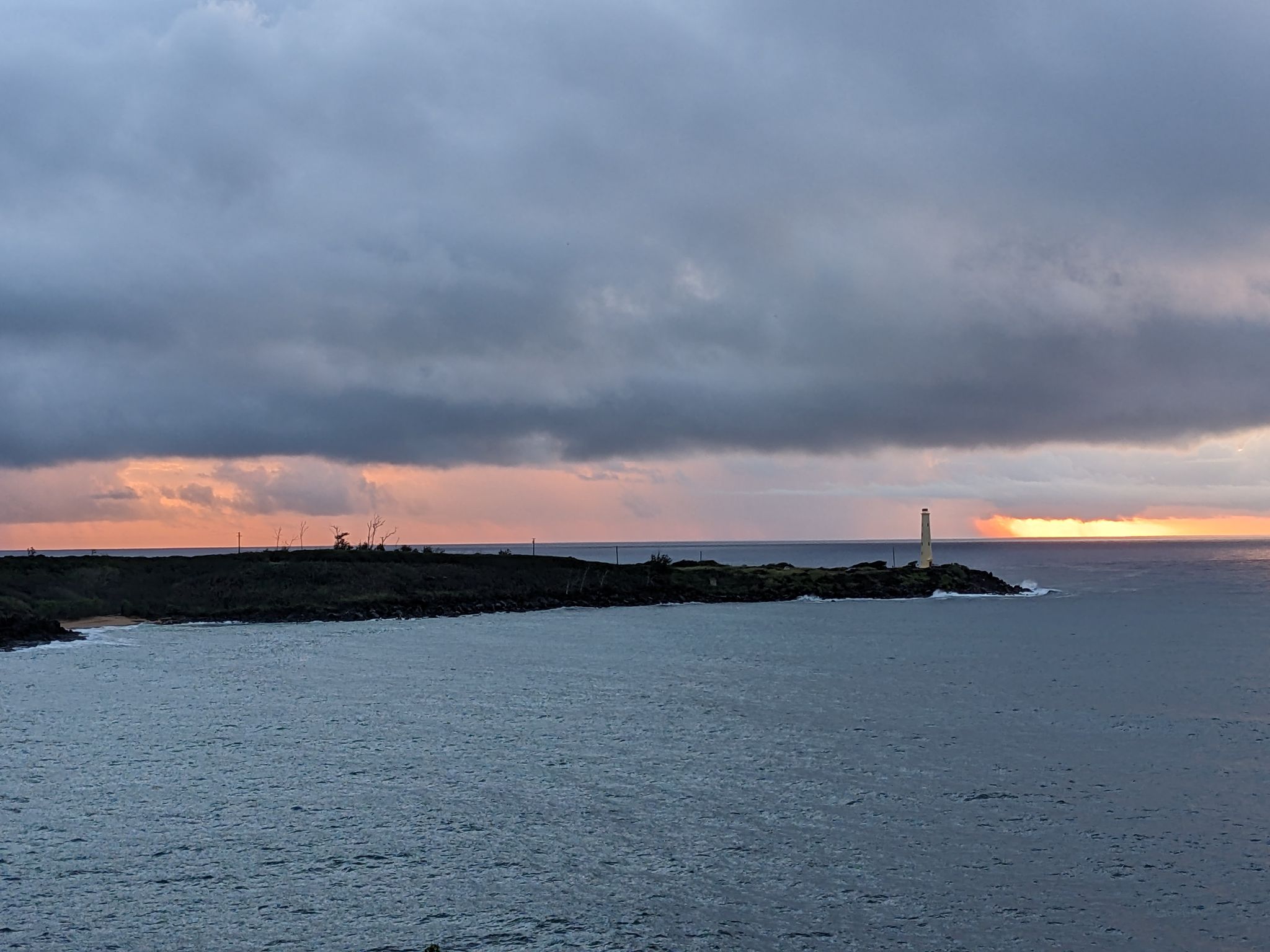 PXL 20230122 172326782