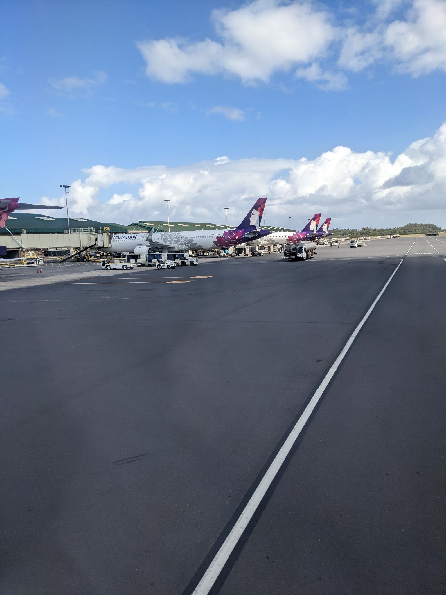 PXL 20230122 205144941