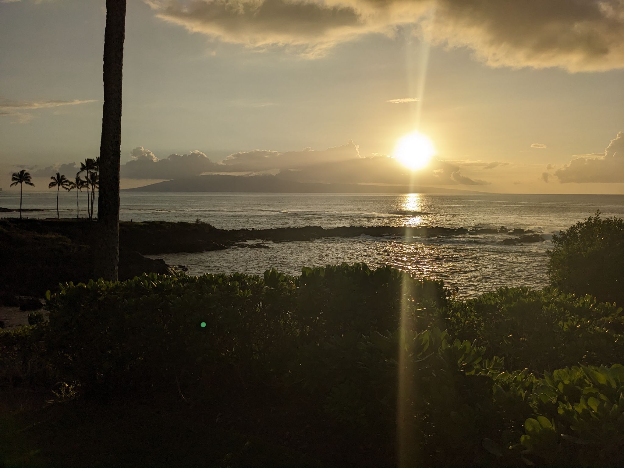 PXL 20230124 034719186