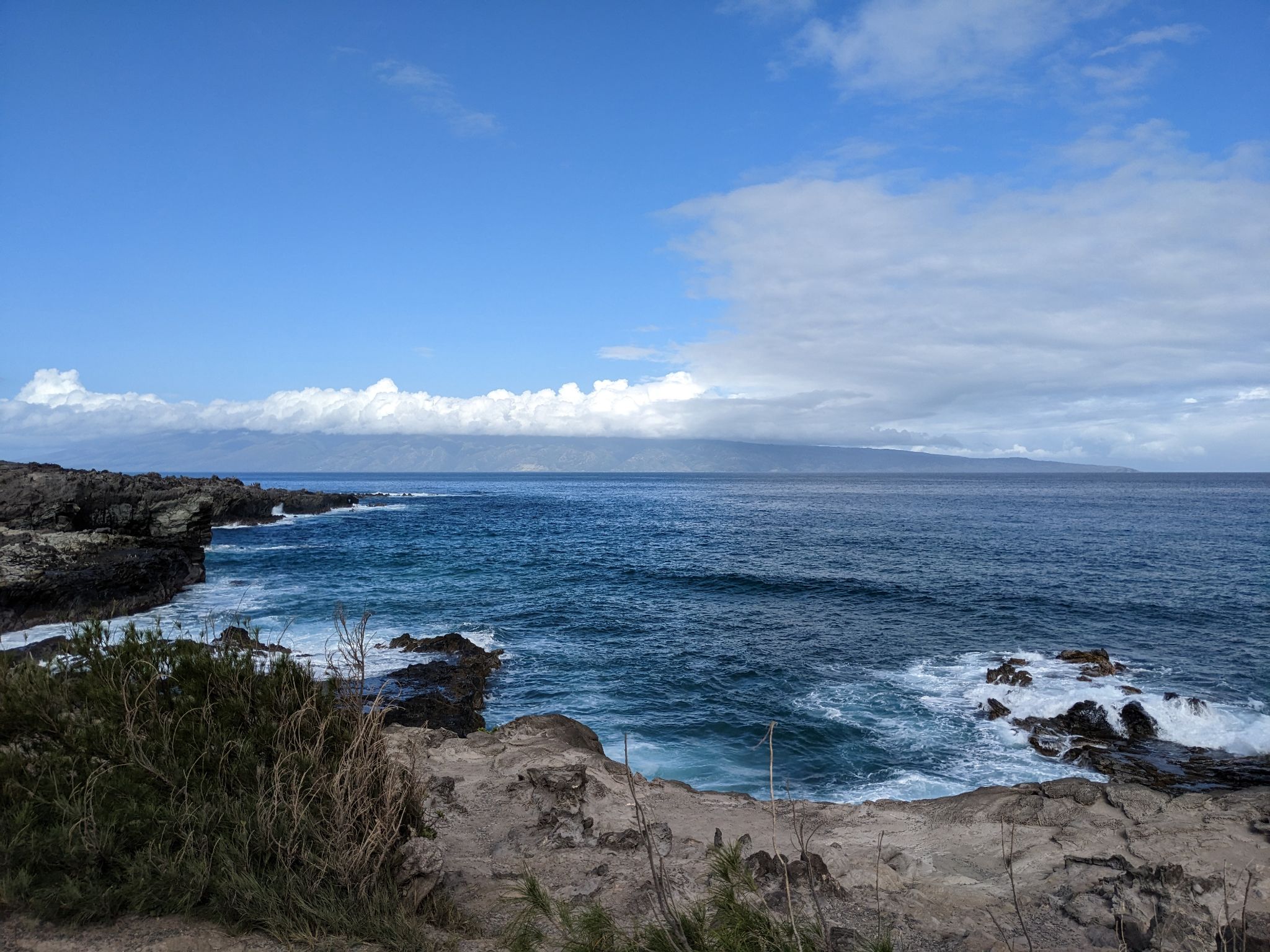 PXL 20230124 200755047