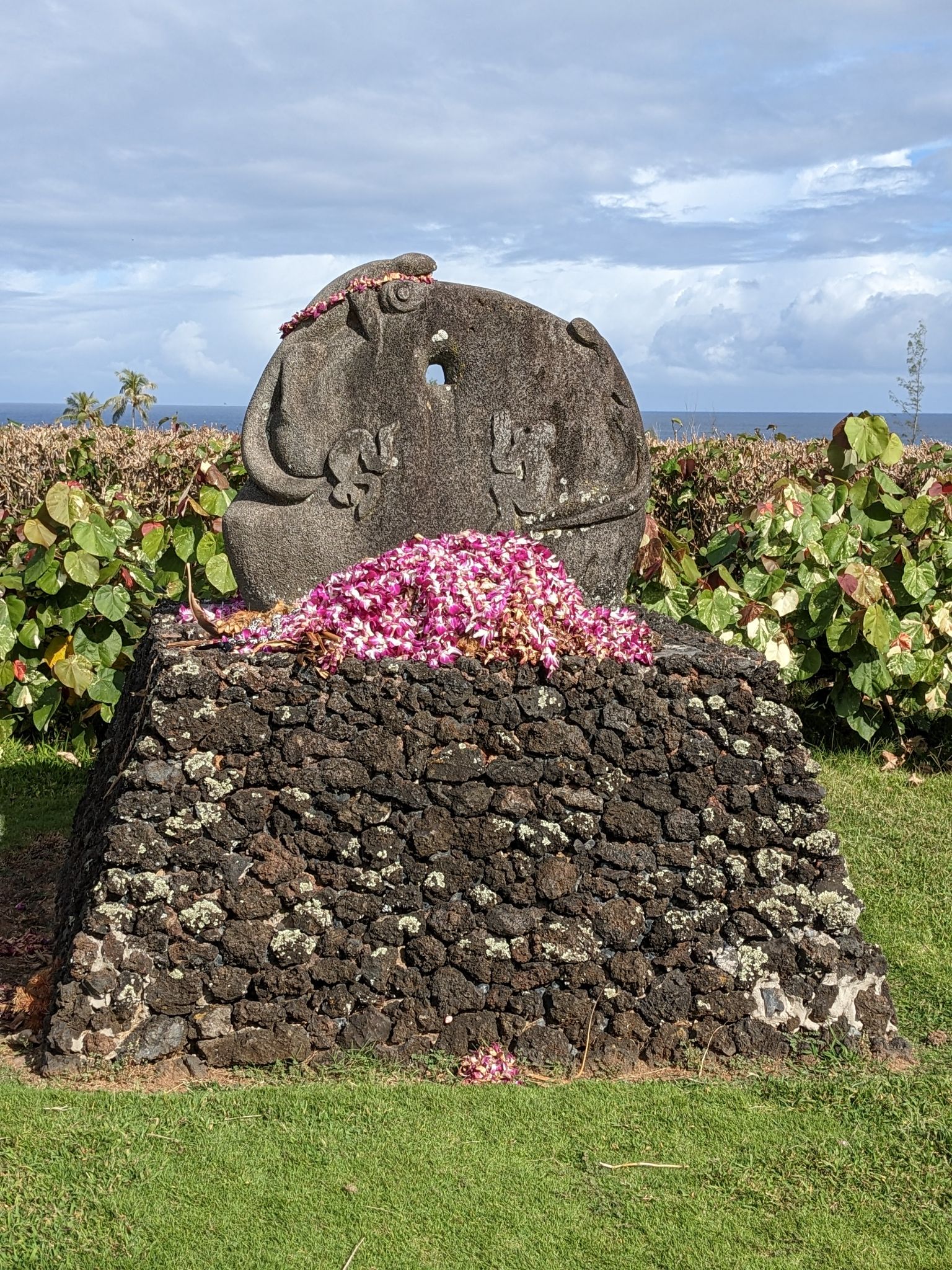 PXL 20230124 201912564