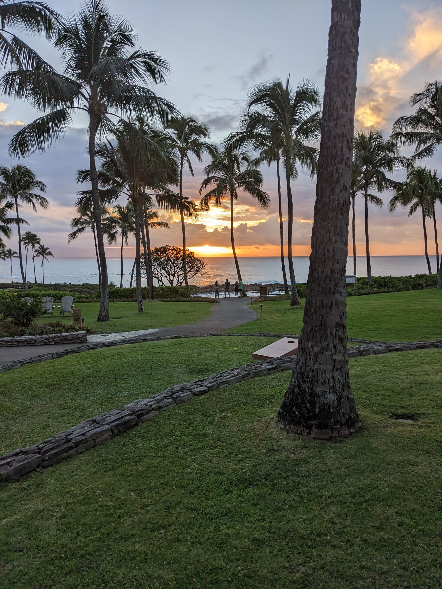 PXL 20230125 040414418