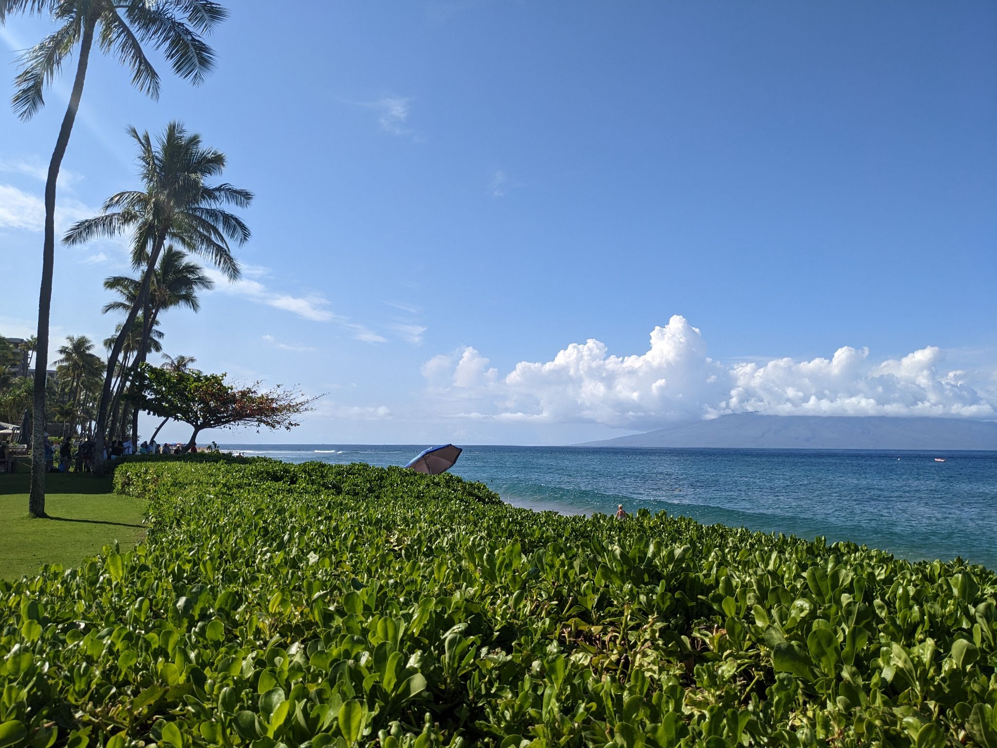 PXL 20230125 203815689