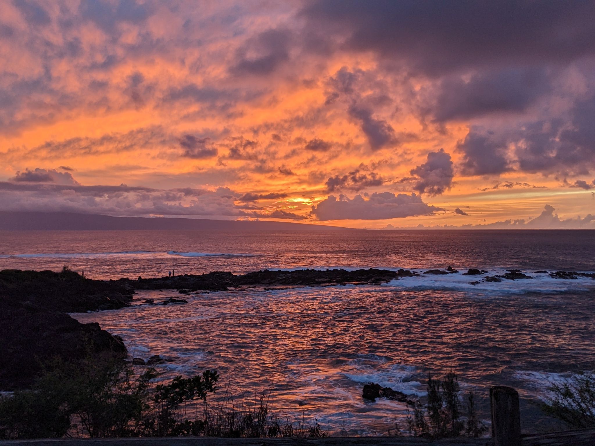 PXL 20230126 041849705