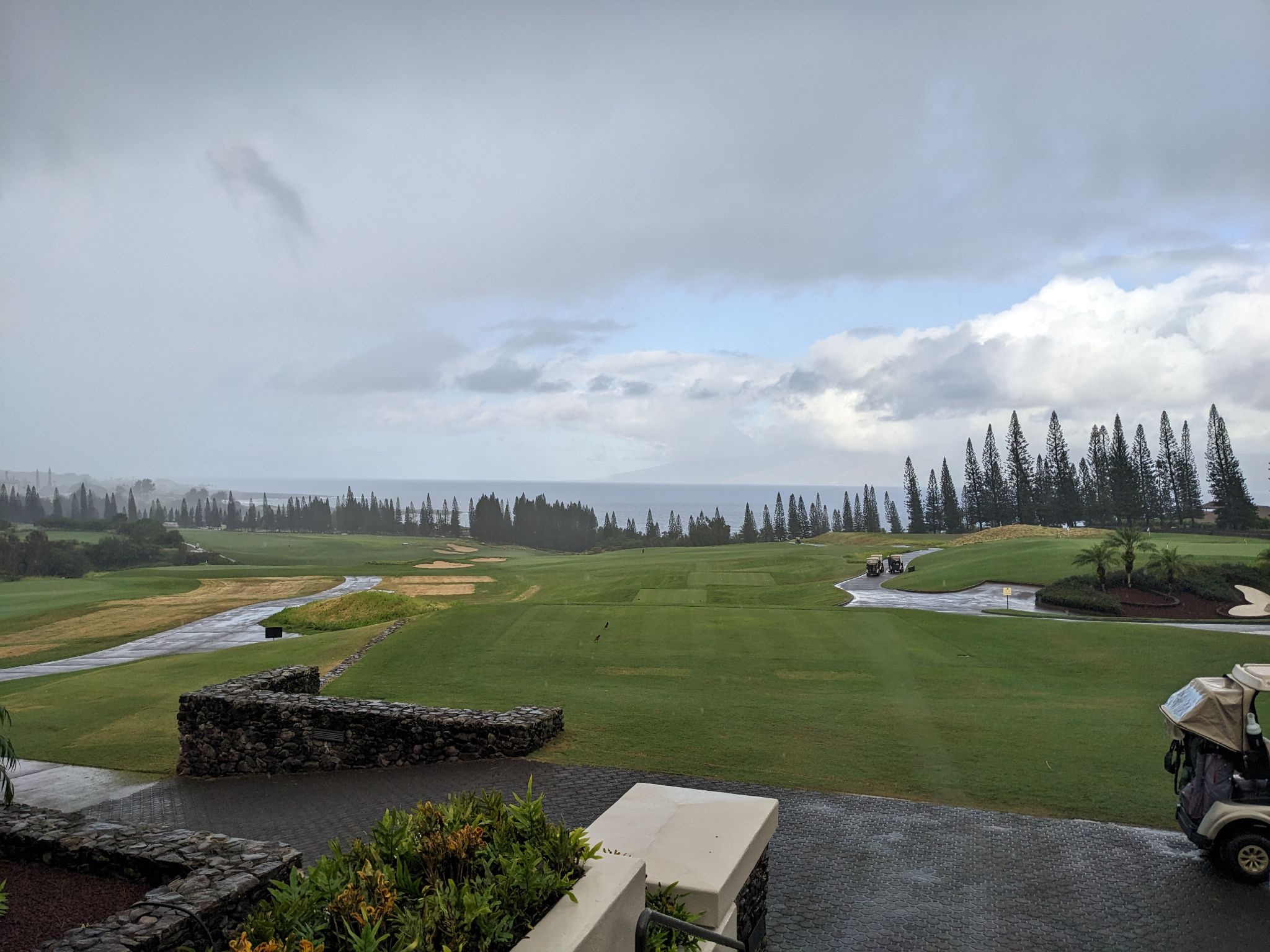 PXL 20230126 190407968