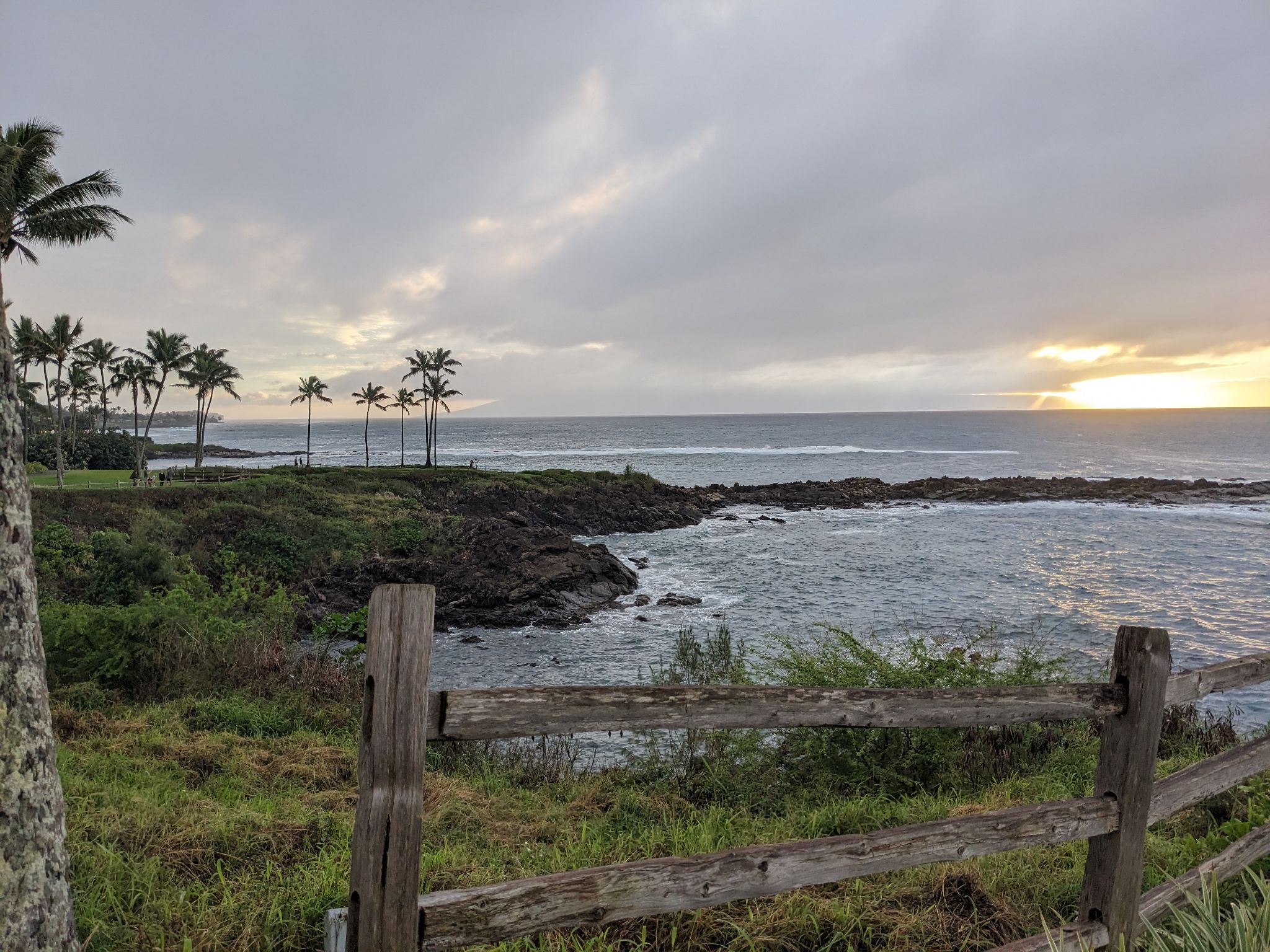 PXL 20230128 040144076