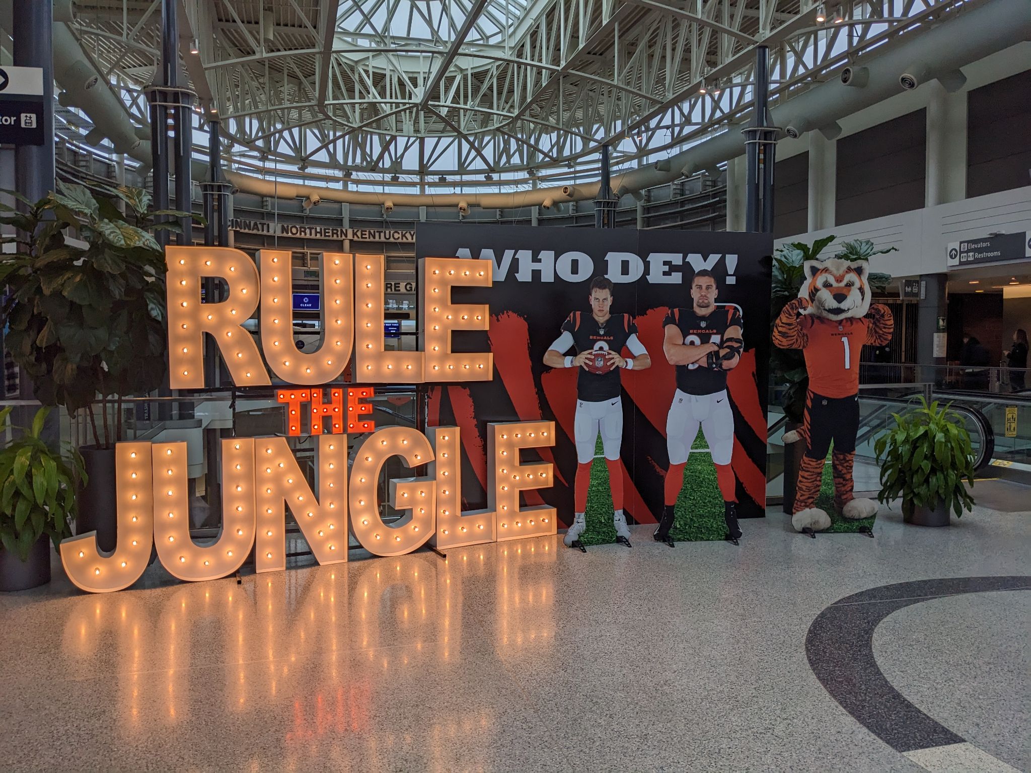 PXL 20230129 155002878