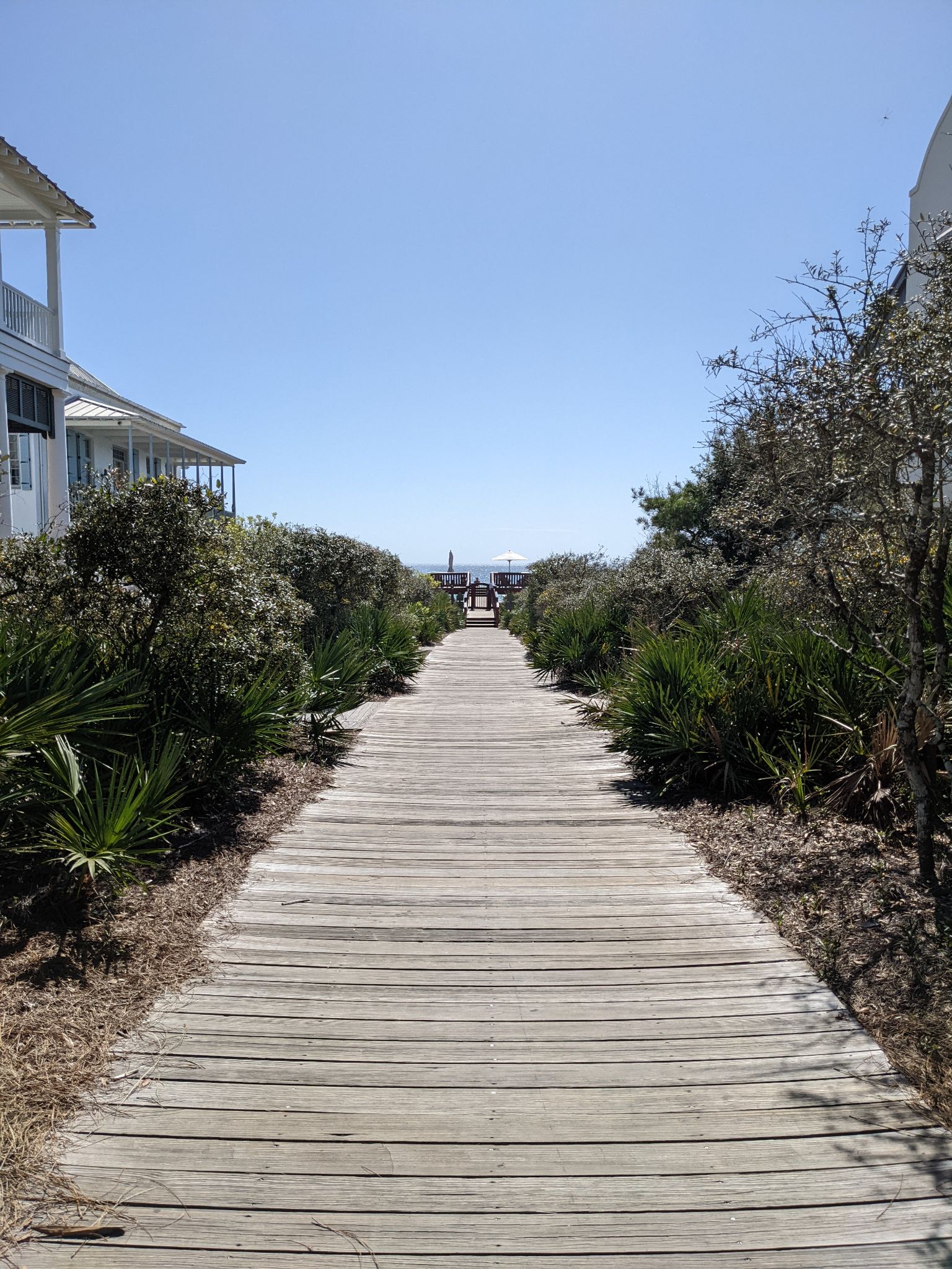 PXL 20220306 190528259.MP