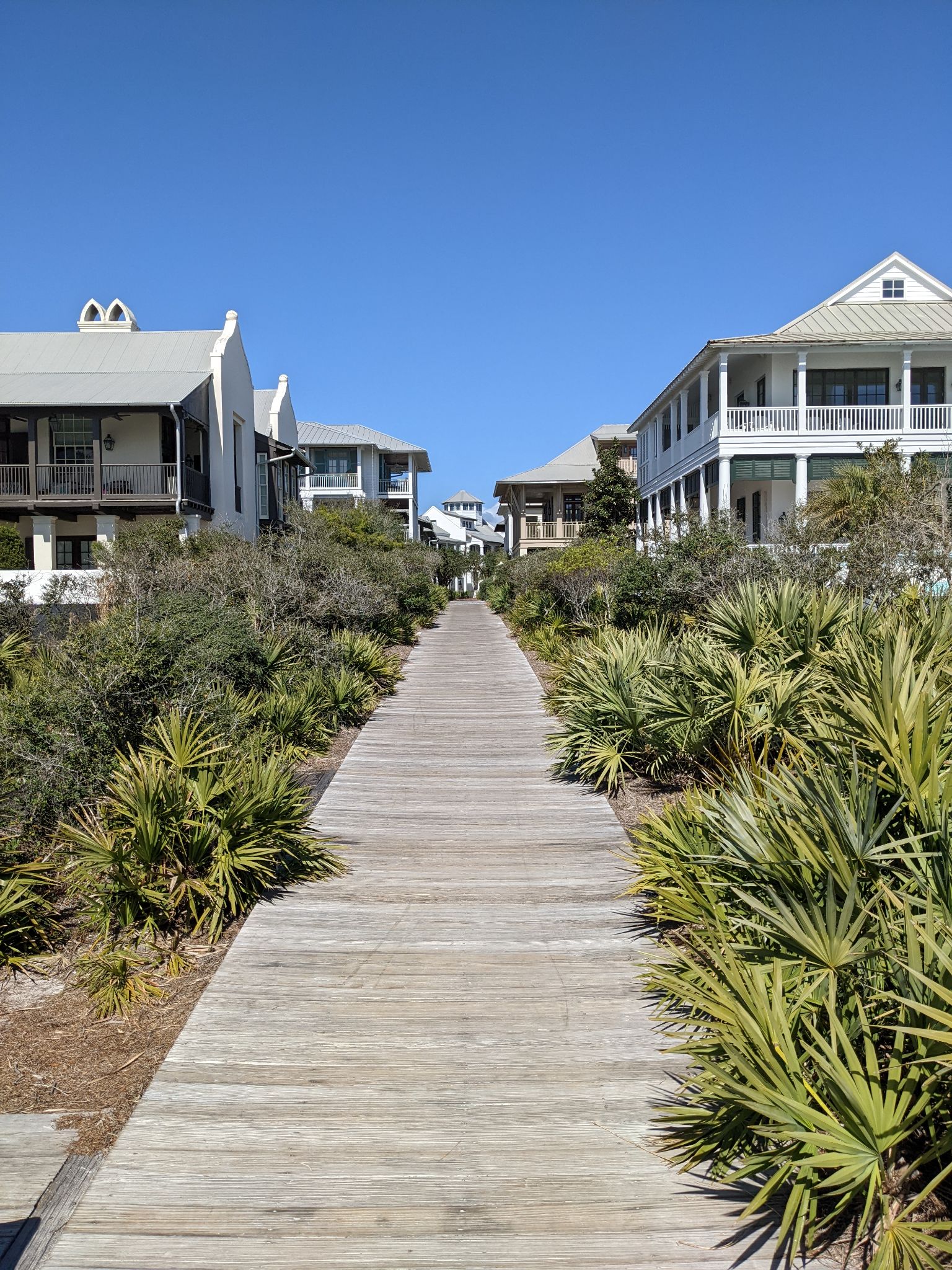 PXL 20220306 191943769