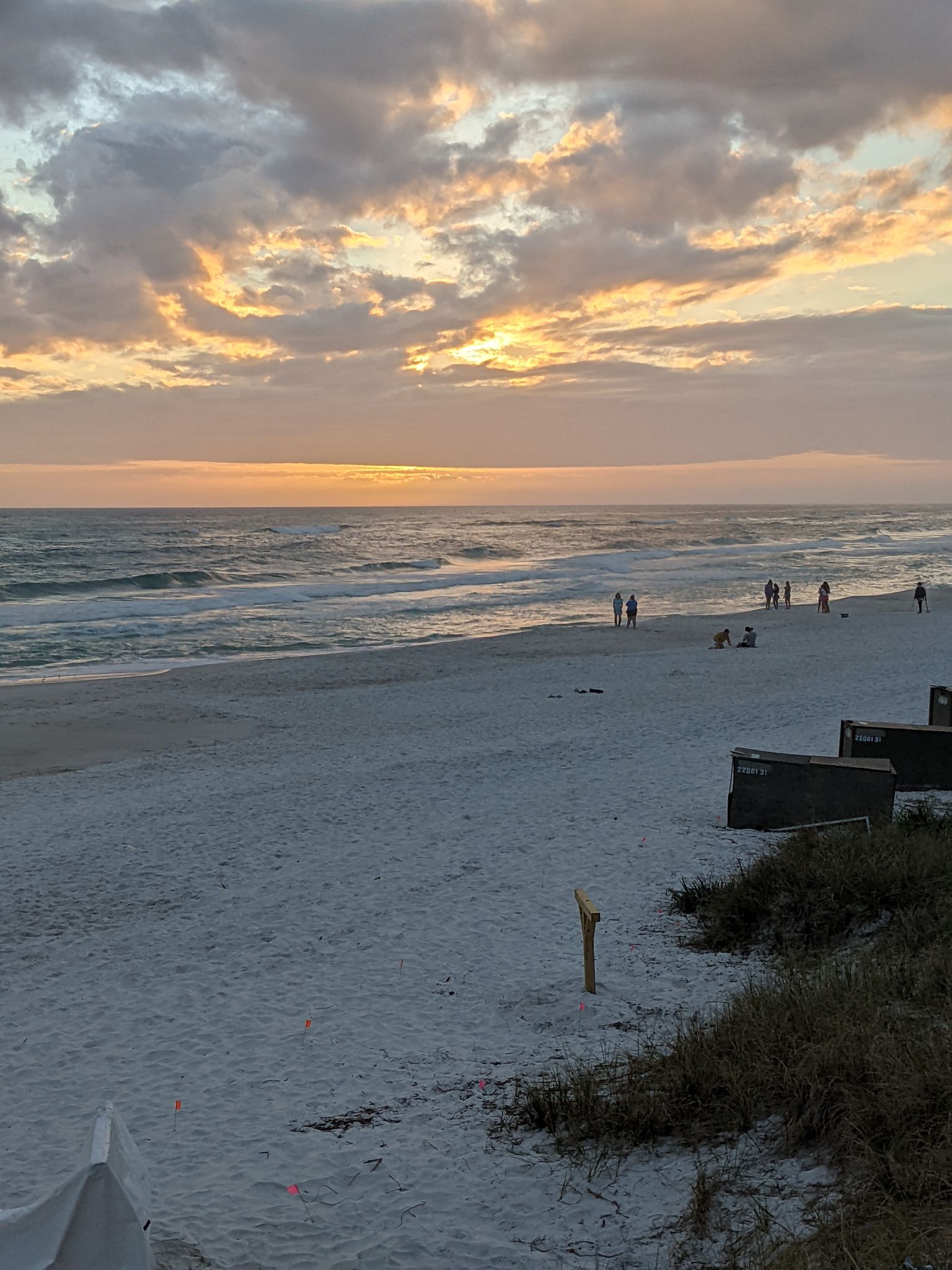 PXL 20220306 233607511