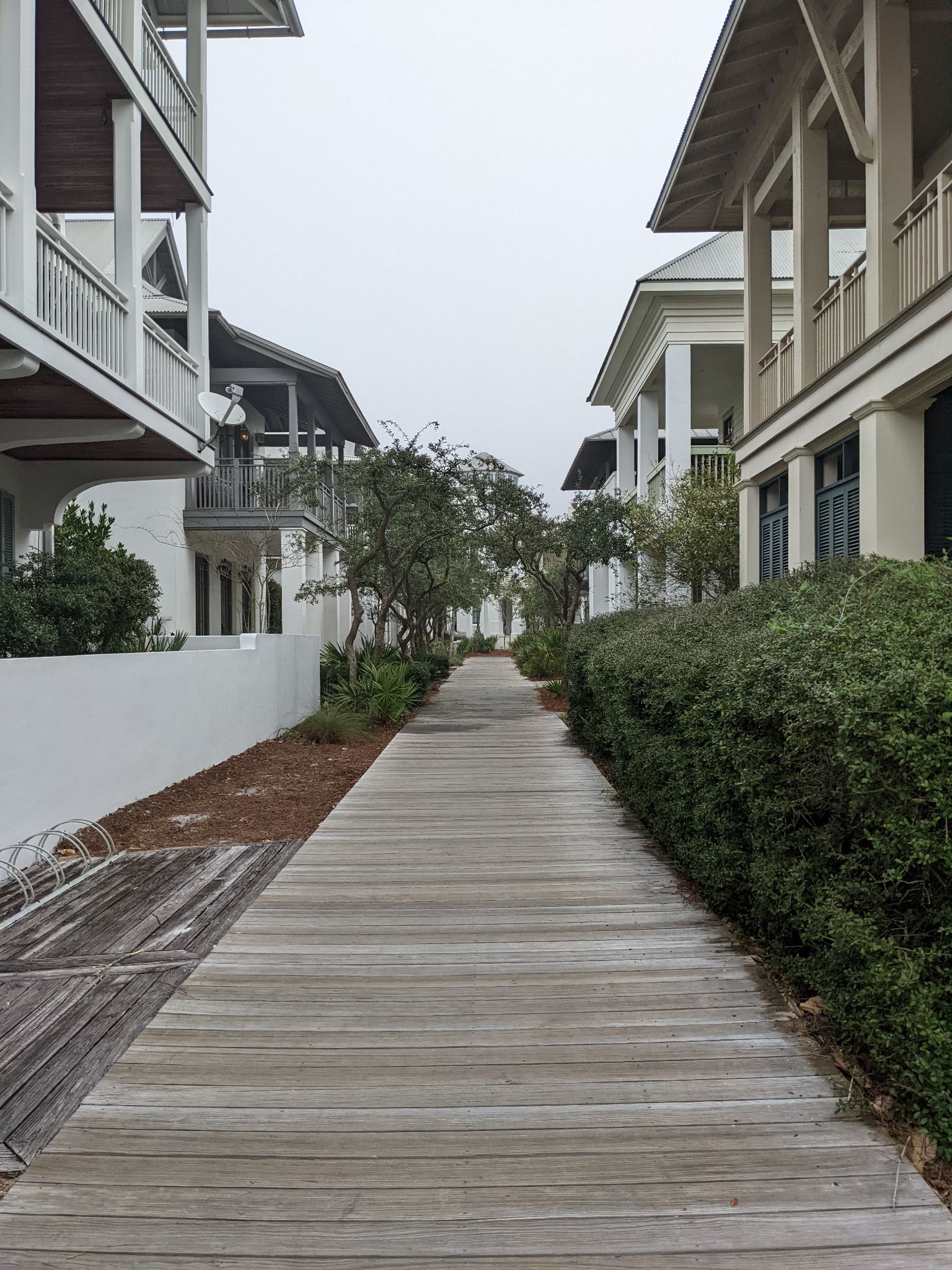 PXL 20220308 135429367