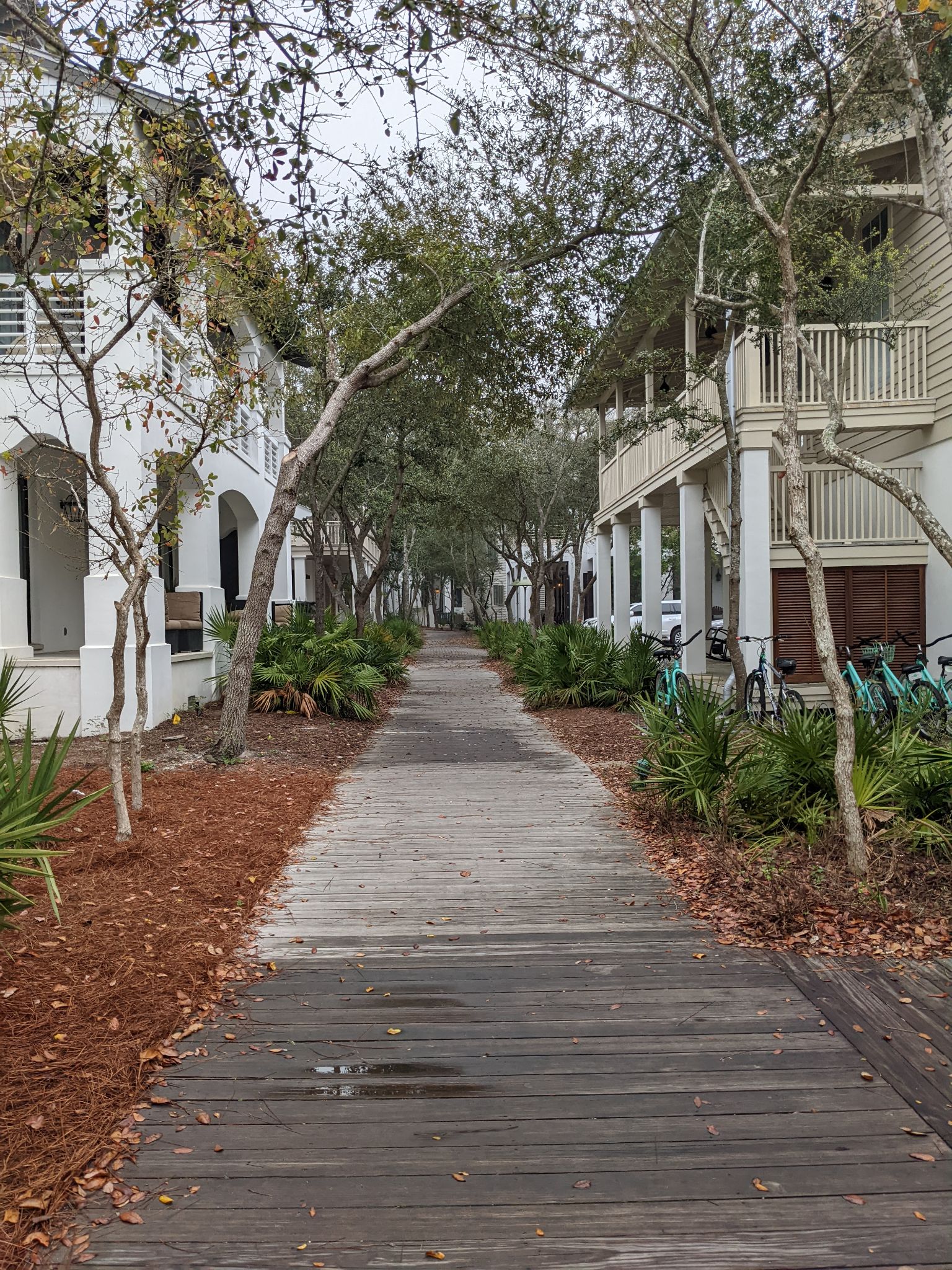 PXL 20220308 135521685