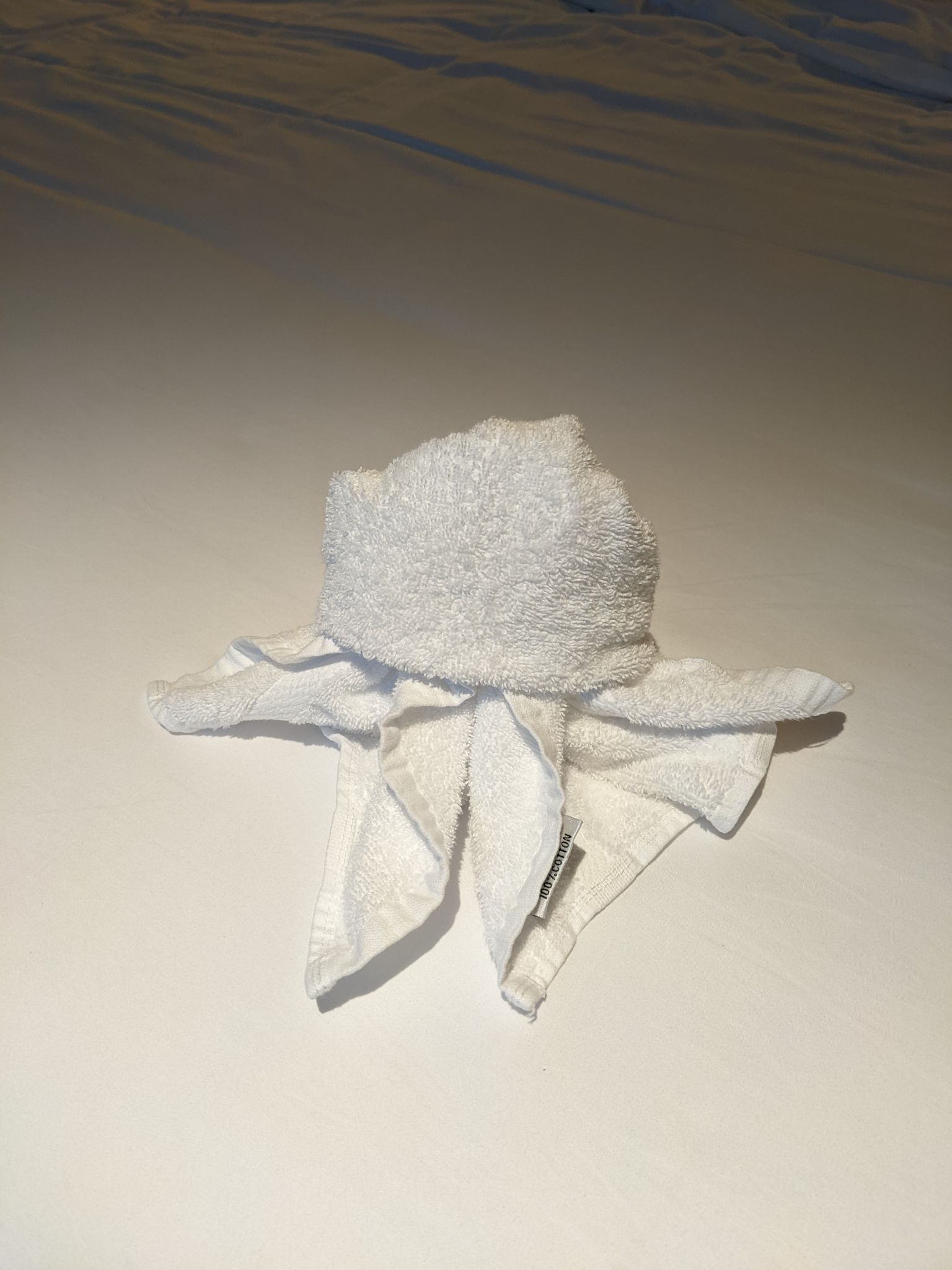 PXL 20220613 191529987