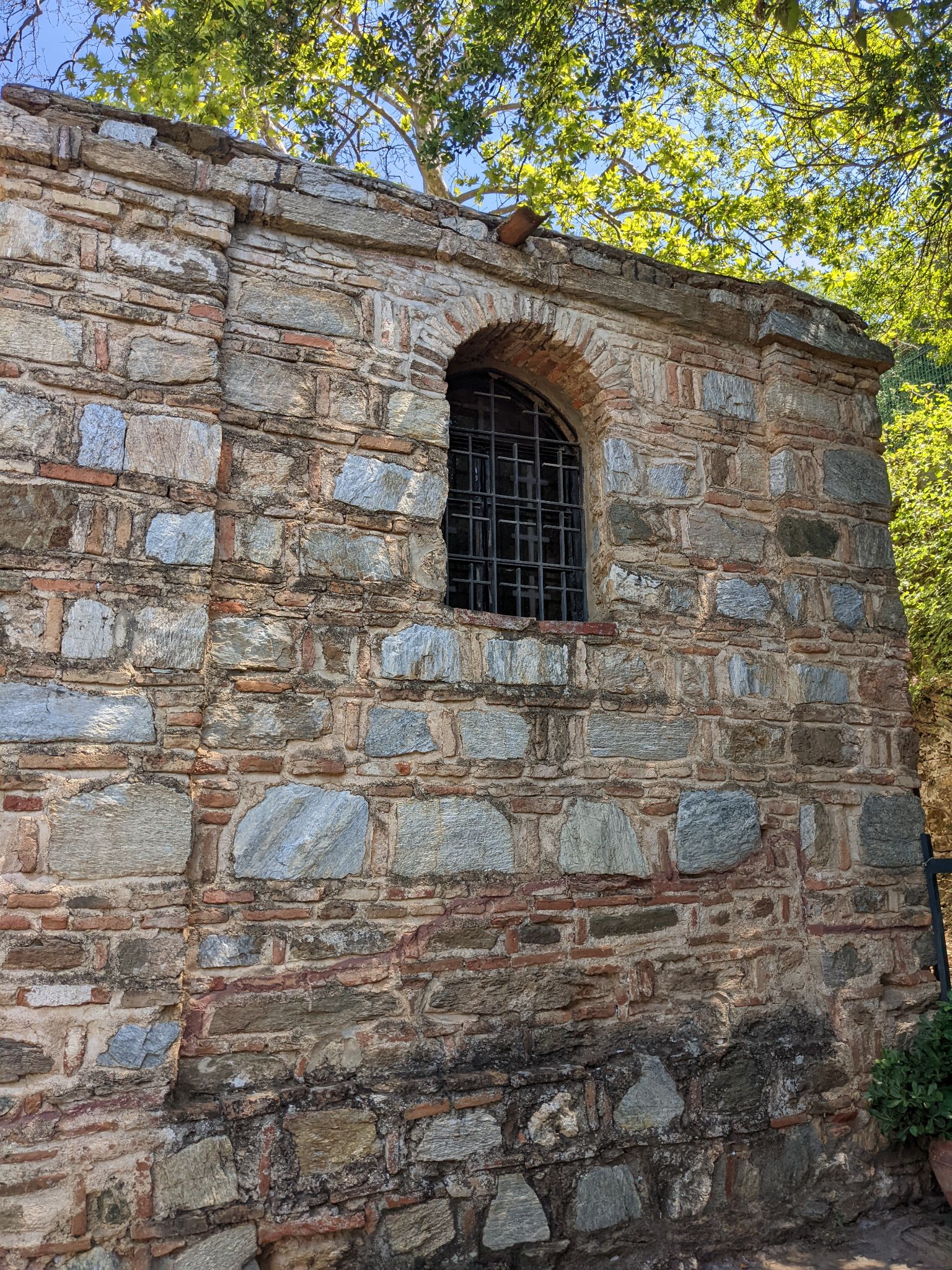 PXL 20220615 083645628