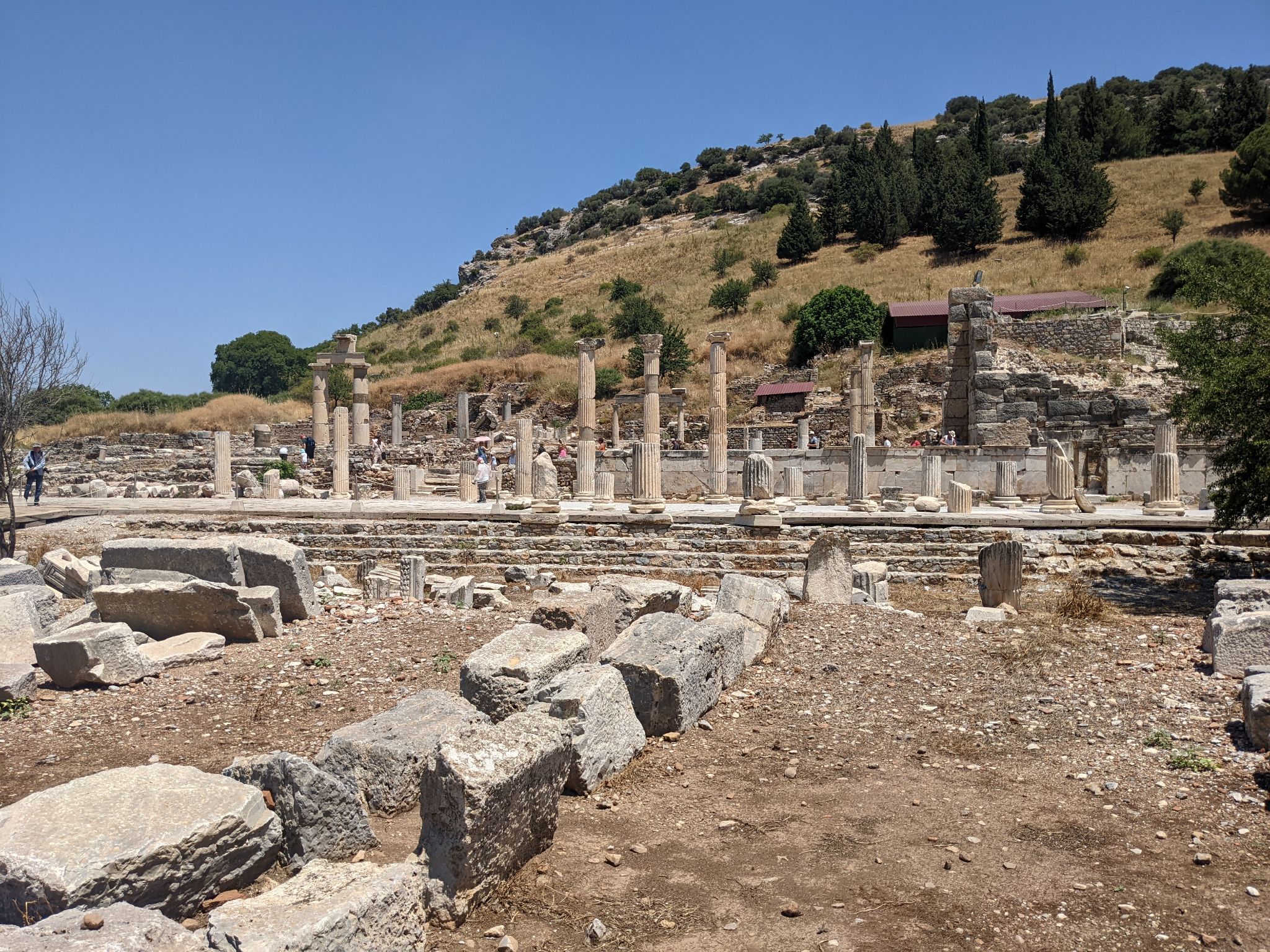 PXL 20220615 091719677