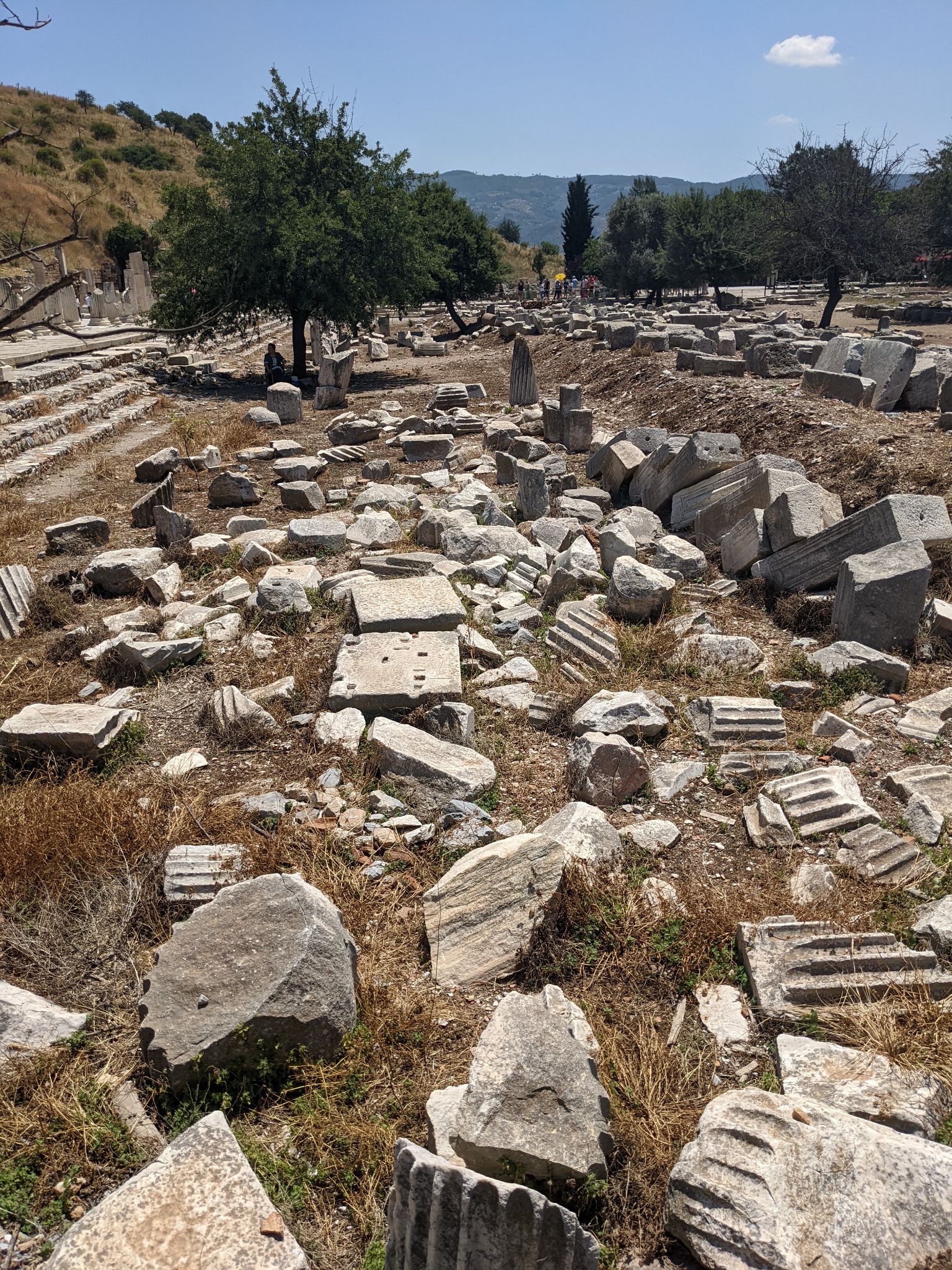 PXL 20220615 091841057