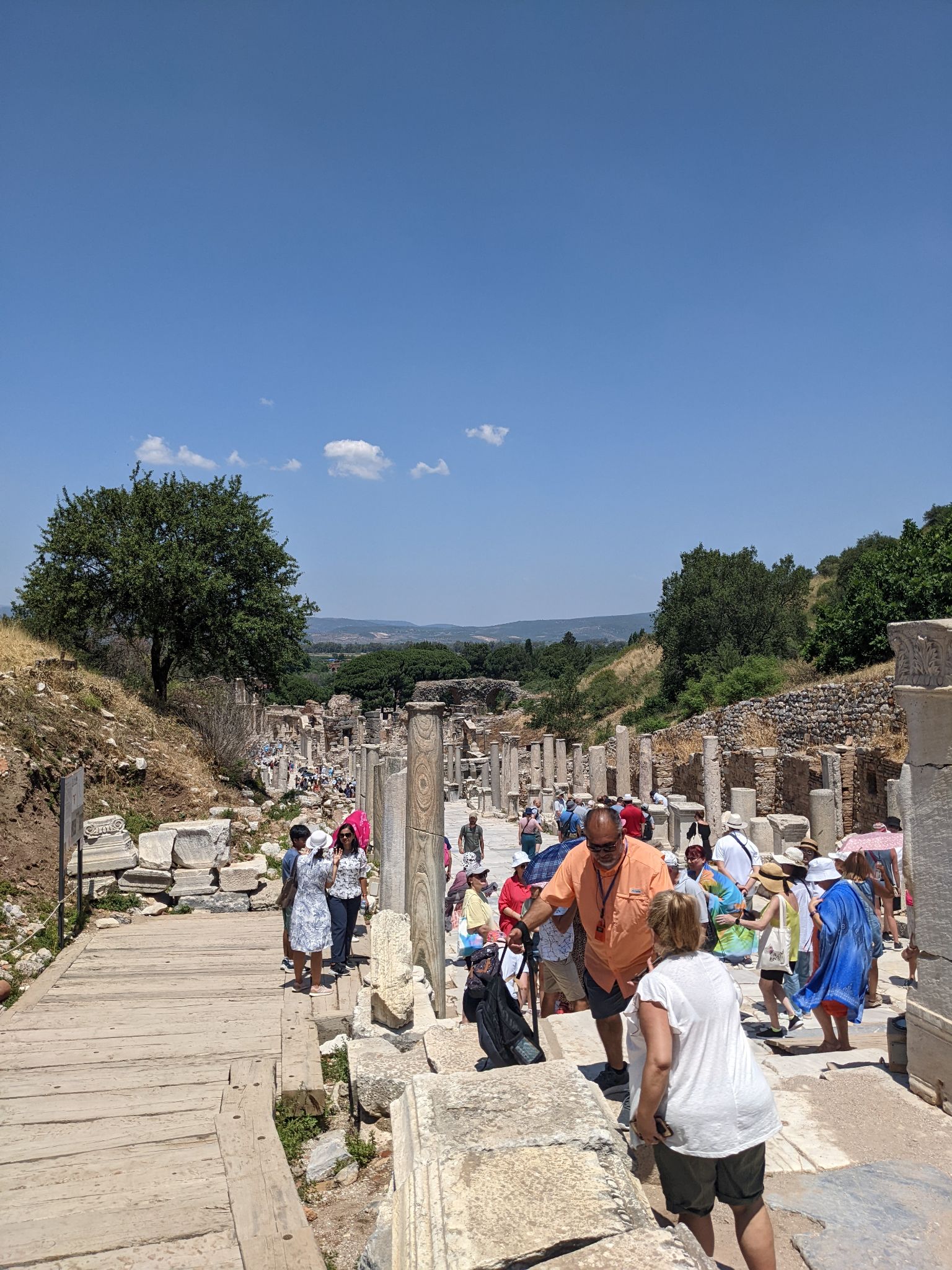 PXL 20220615 092815681