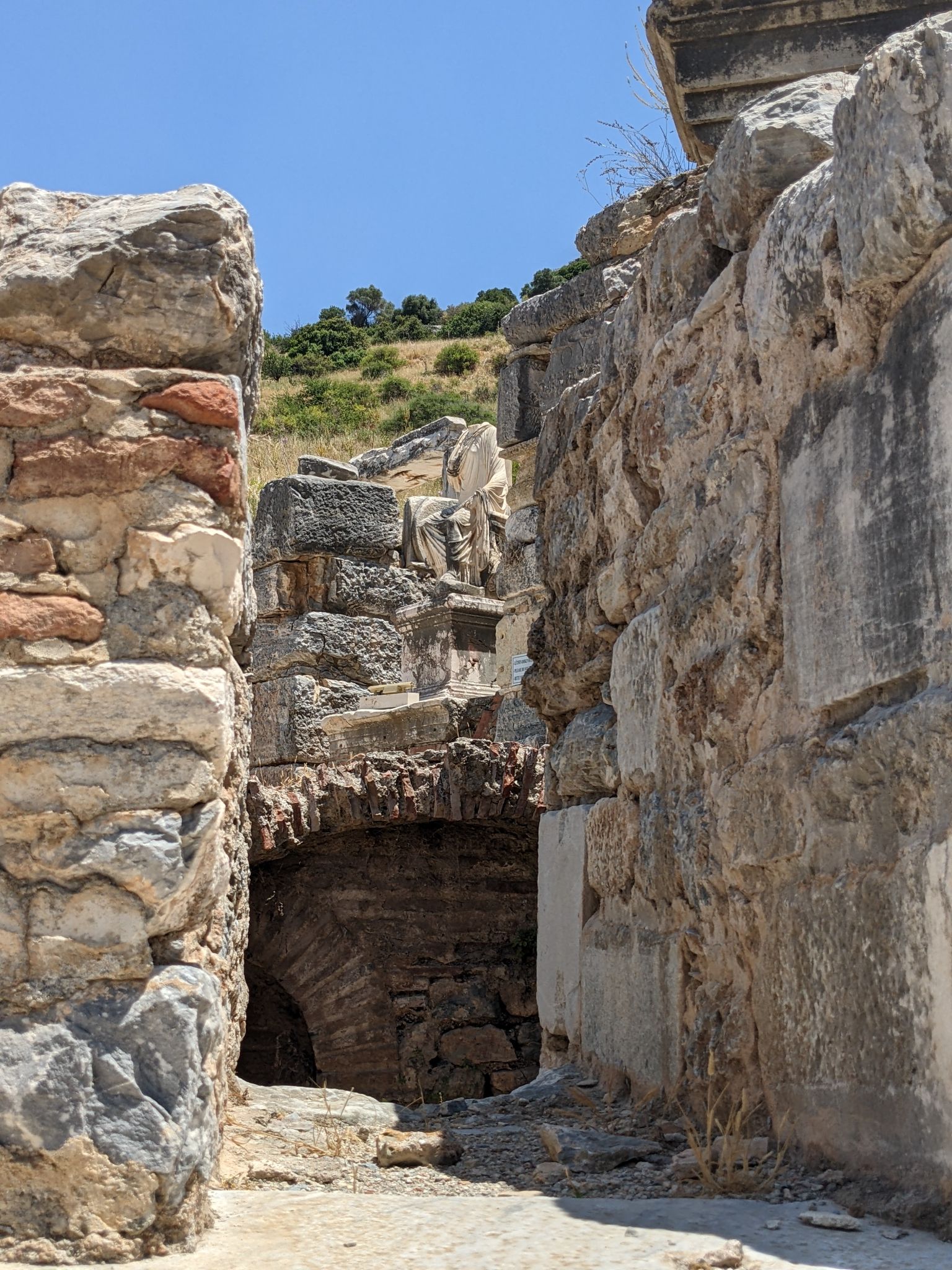 PXL 20220615 093646983