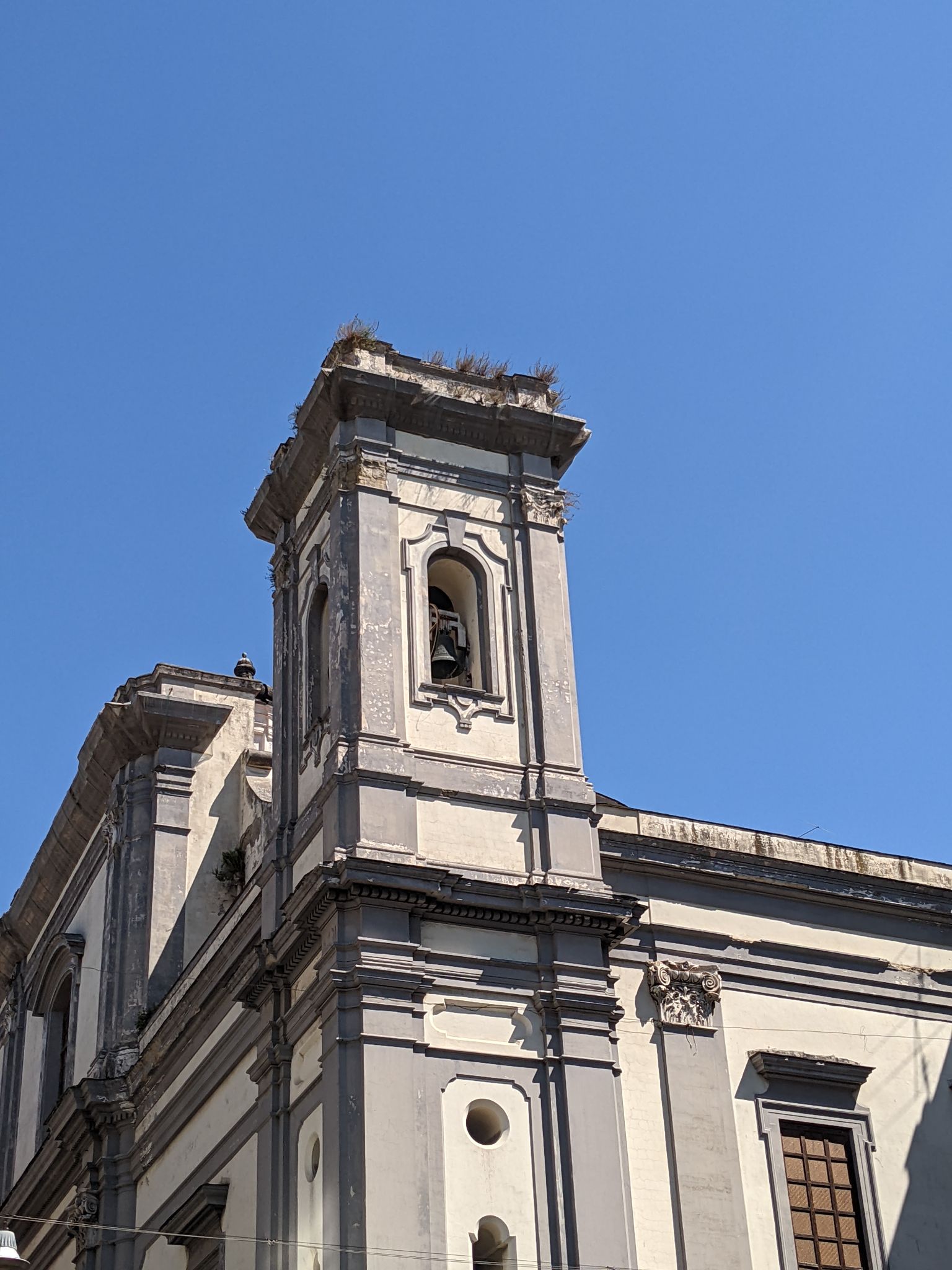 PXL 20220618 083651370