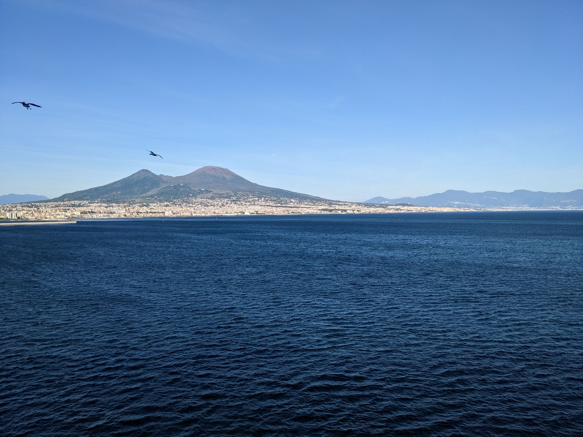 PXL 20220618 163004409