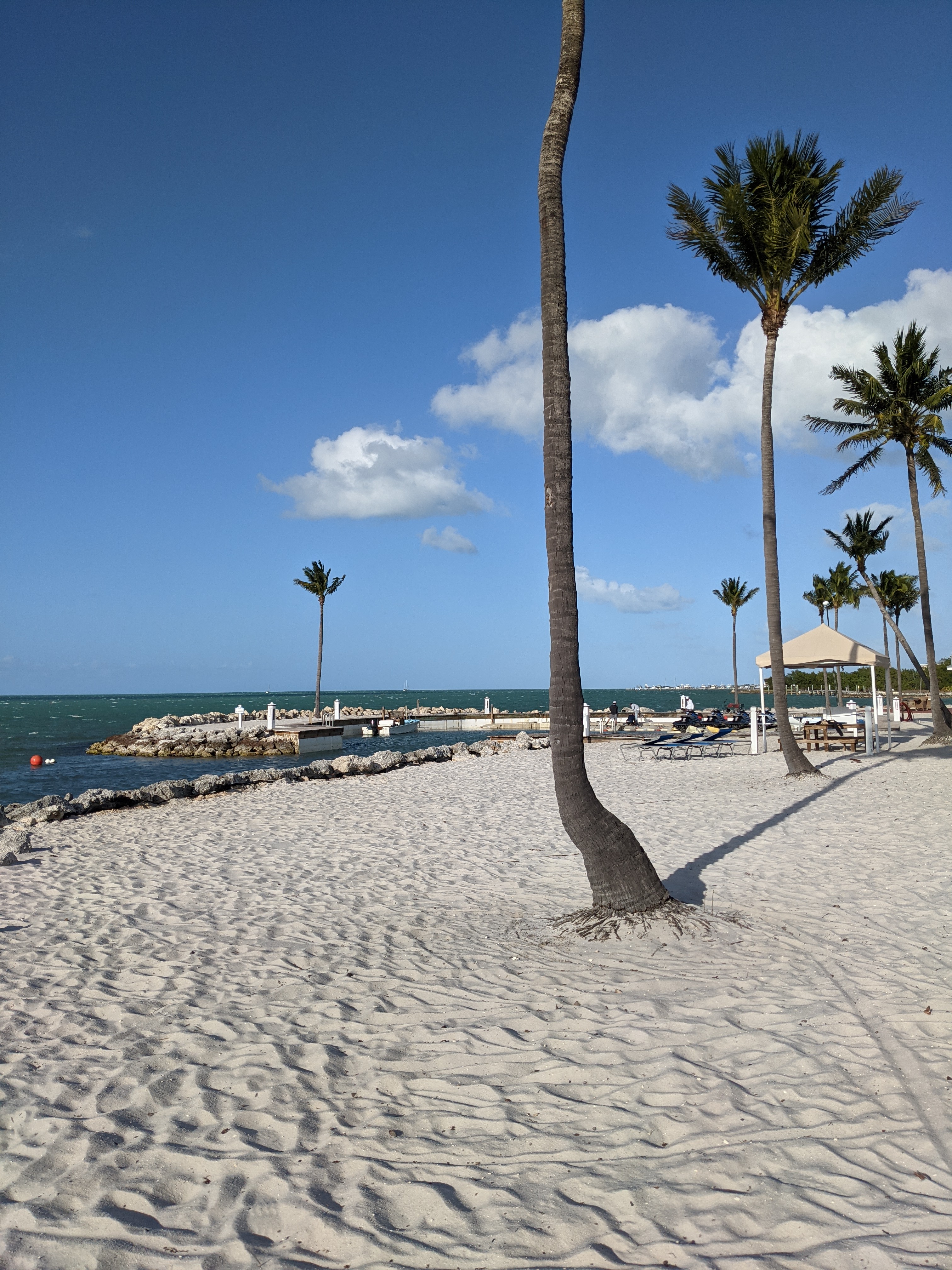 PXL 20210309 215304499