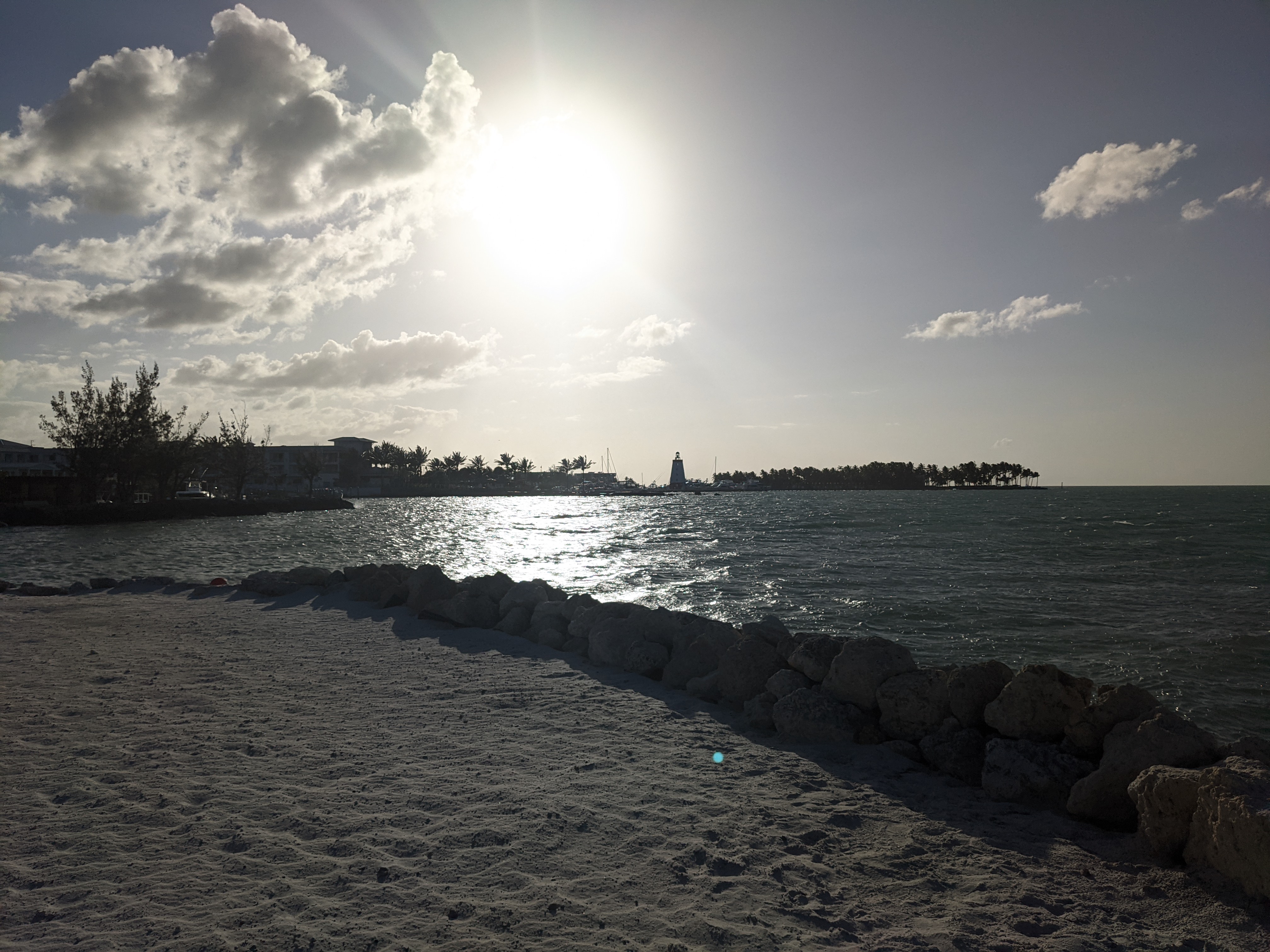 PXL 20210309 221623408