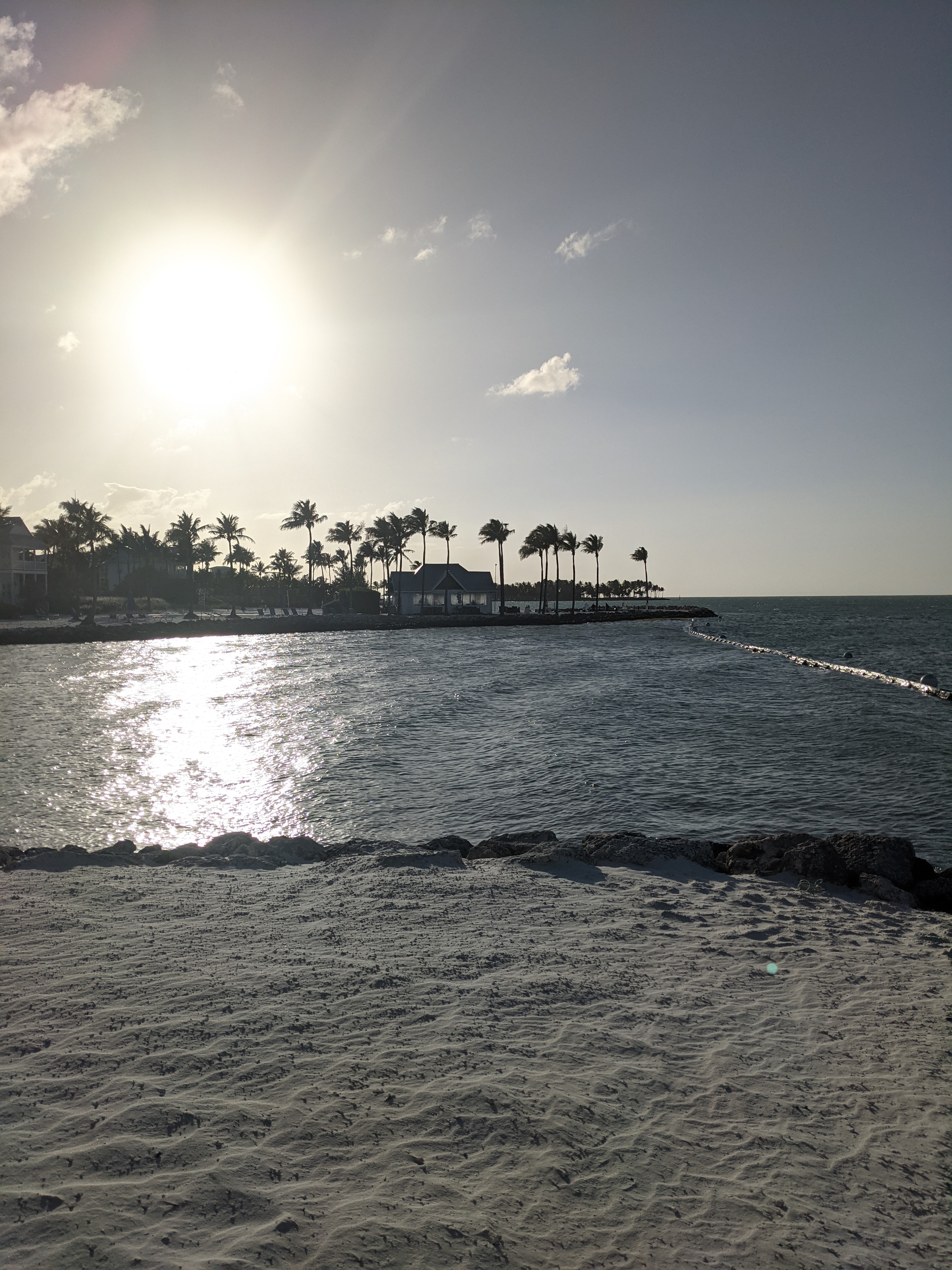 PXL 20210309 222256200