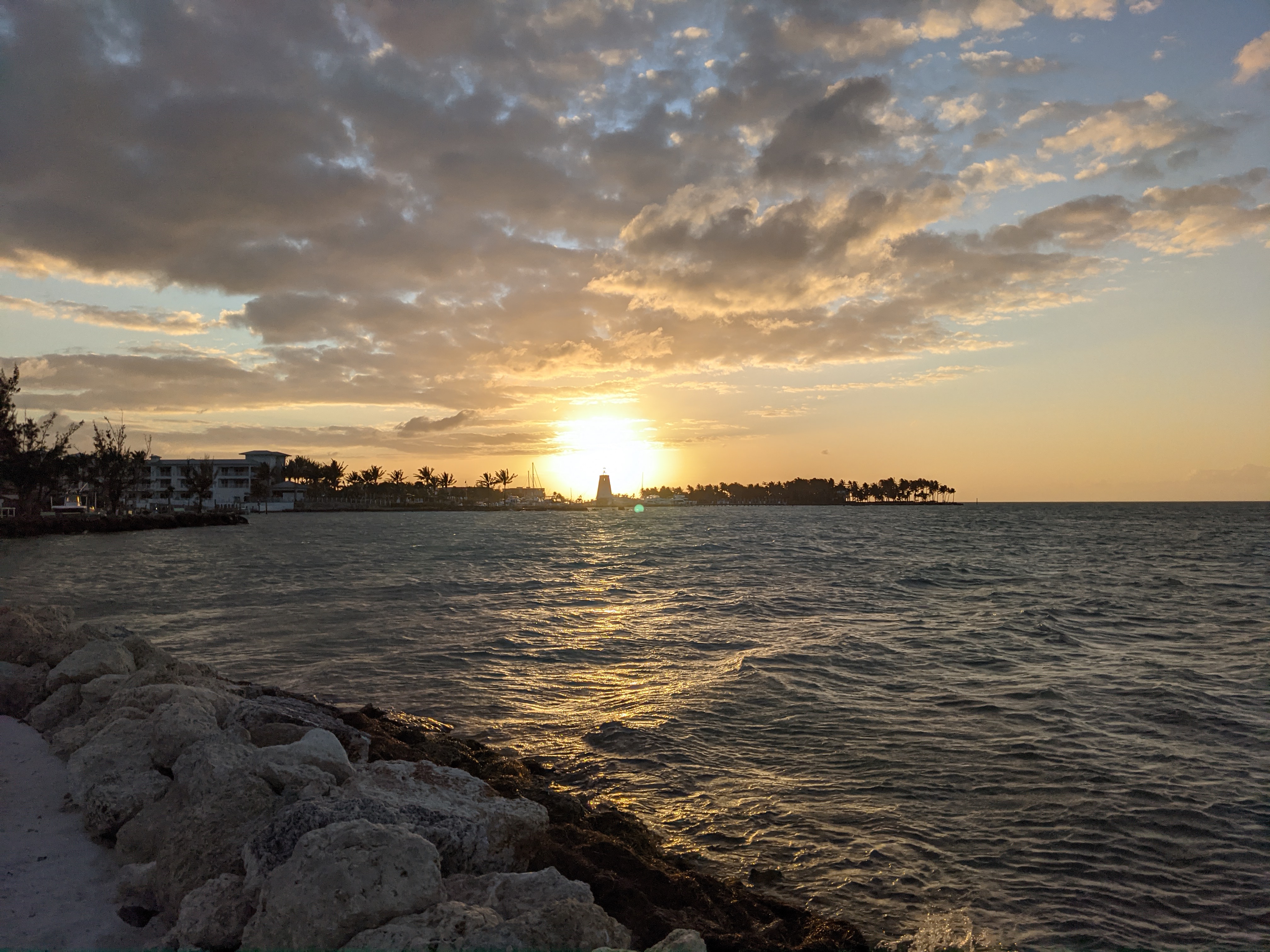 PXL 20210309 231706008