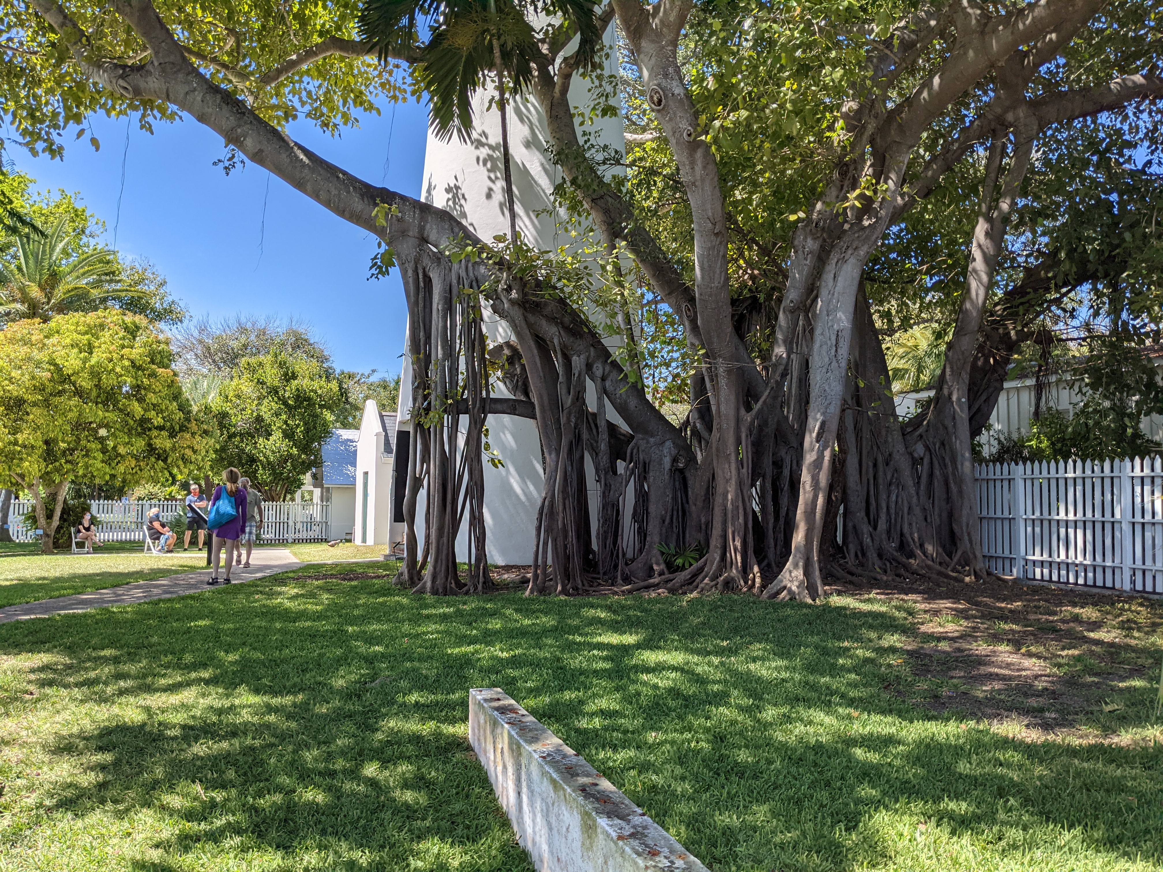 PXL 20210310 163745886.MP