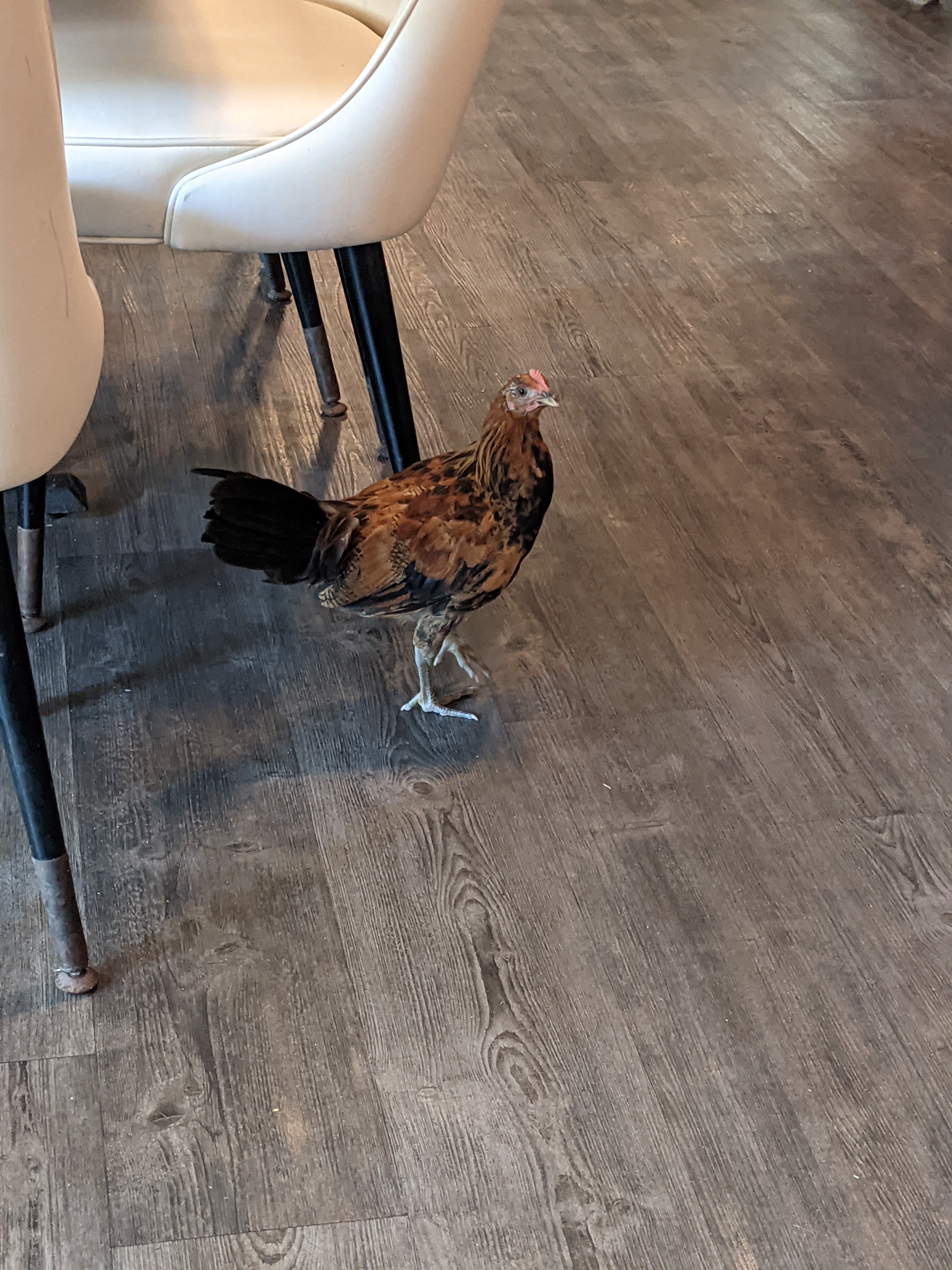 PXL 20210310 173314139