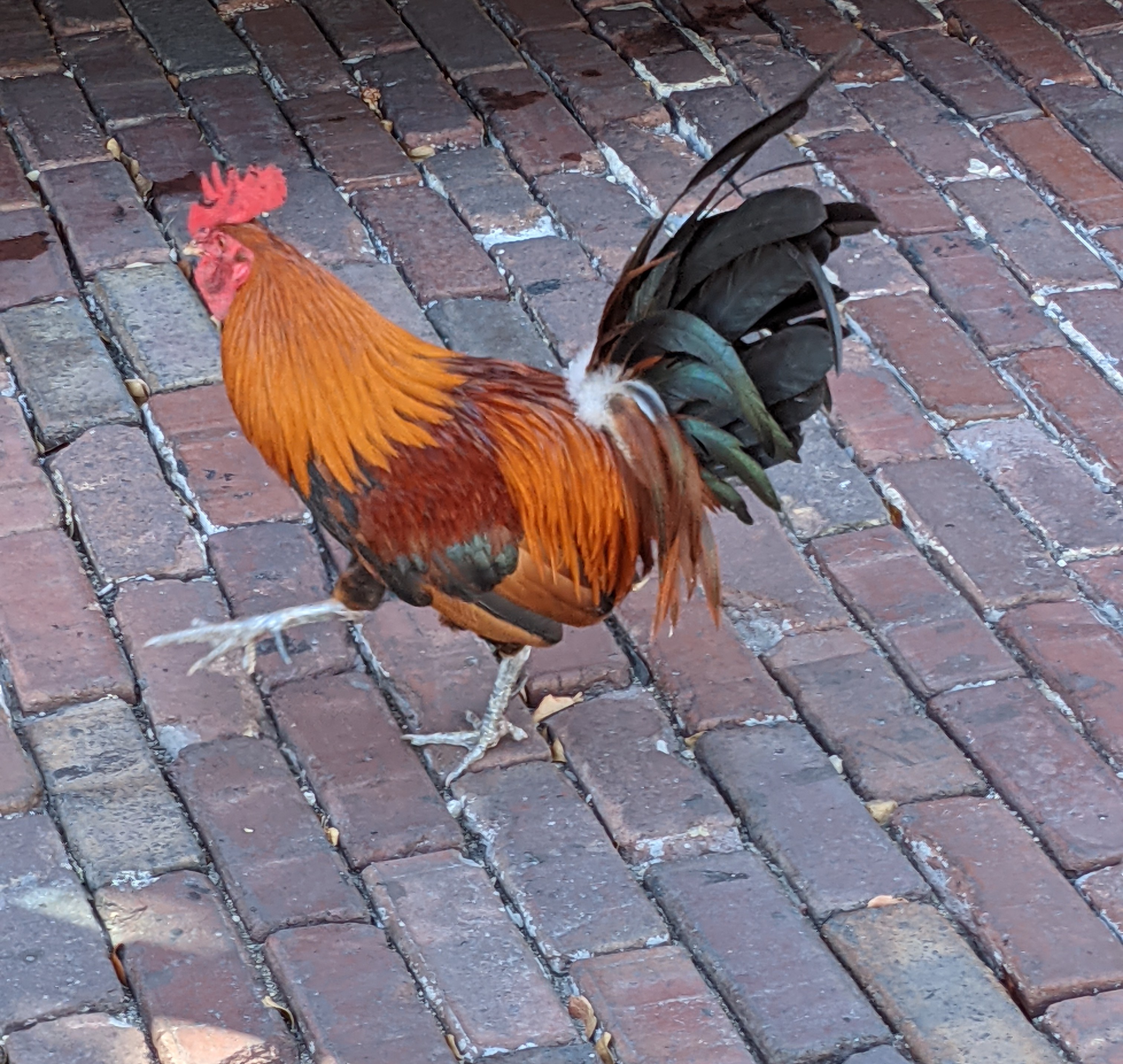 PXL 20210310 200448077.MP~2