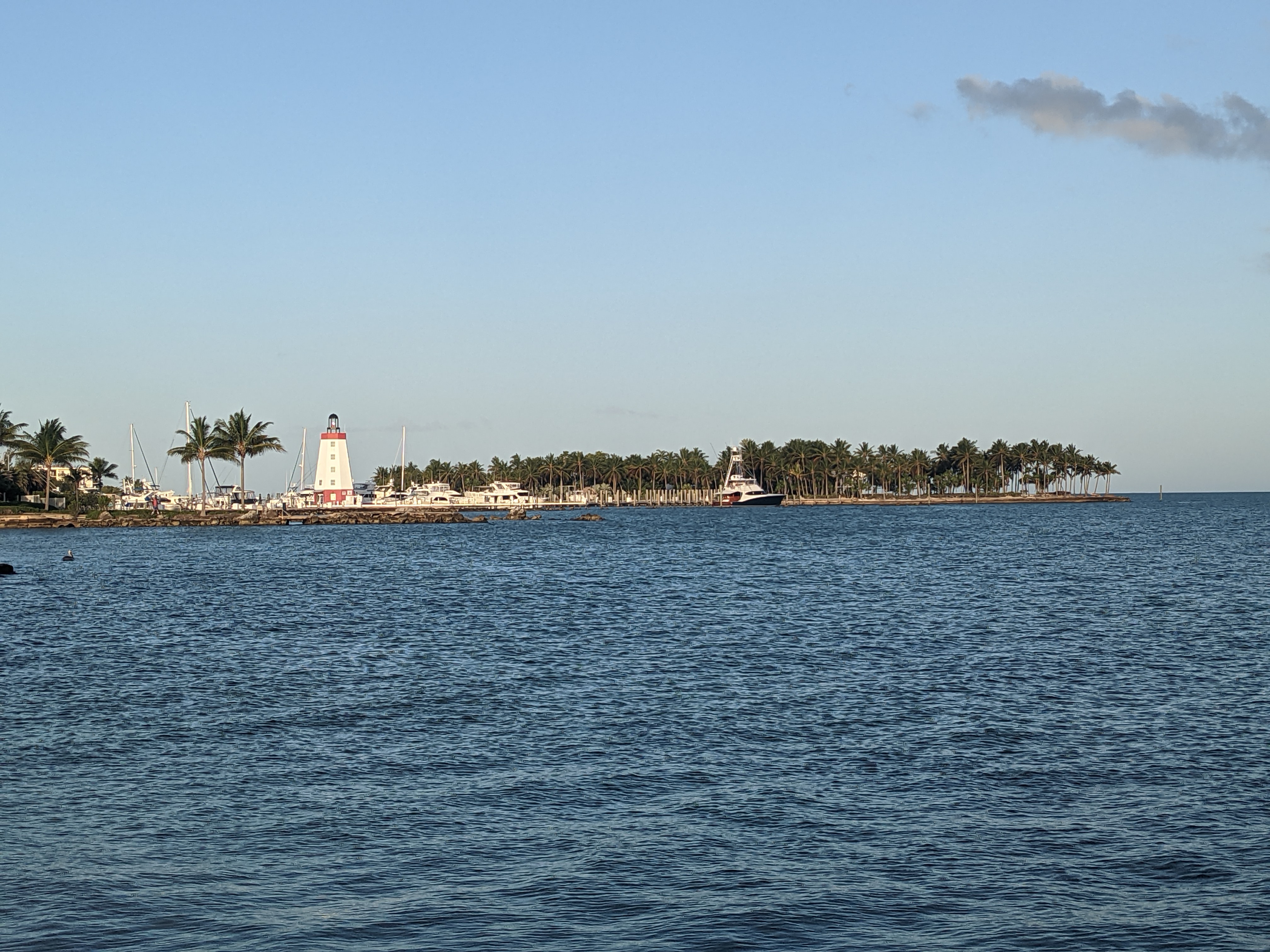 PXL 20210311 120845382